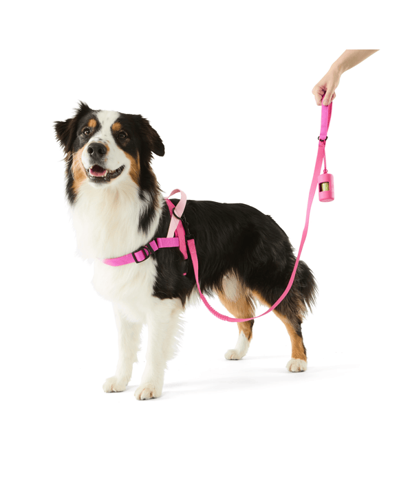 Pet Walking Set - Pink, Large
