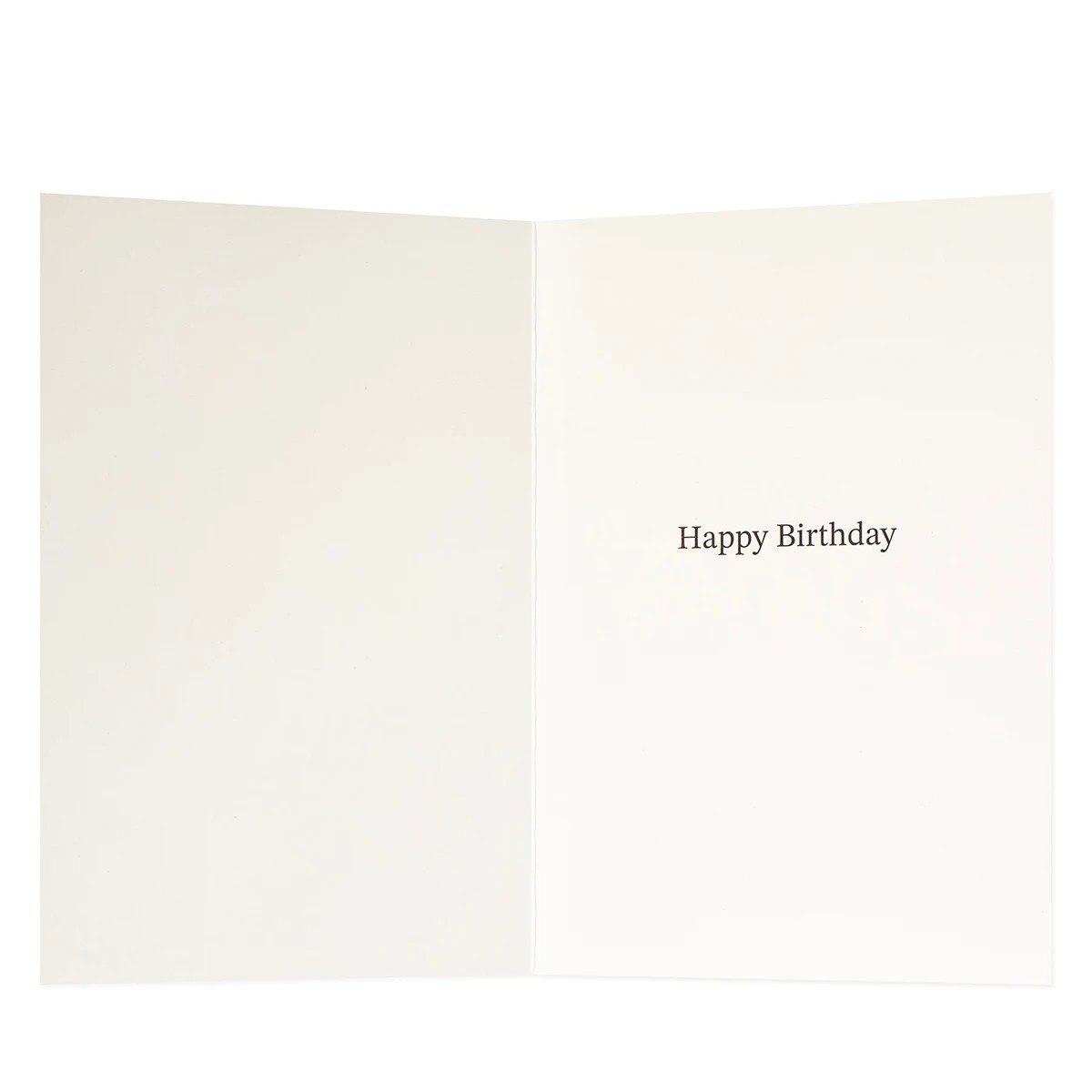 2 Connections from Hallmark Birthday Card - Puppy N' Balloon, 2 of 3