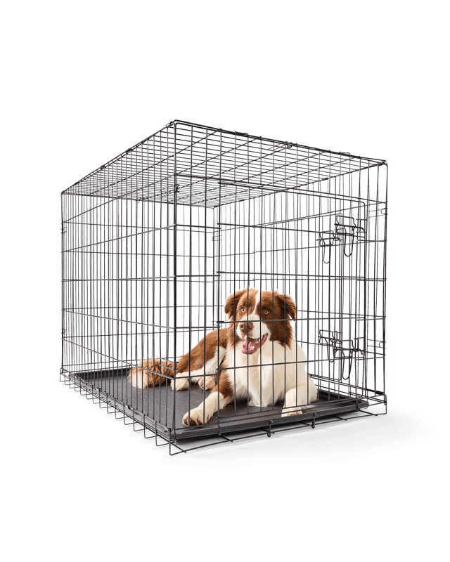 Pet Folding Crate - Extra L