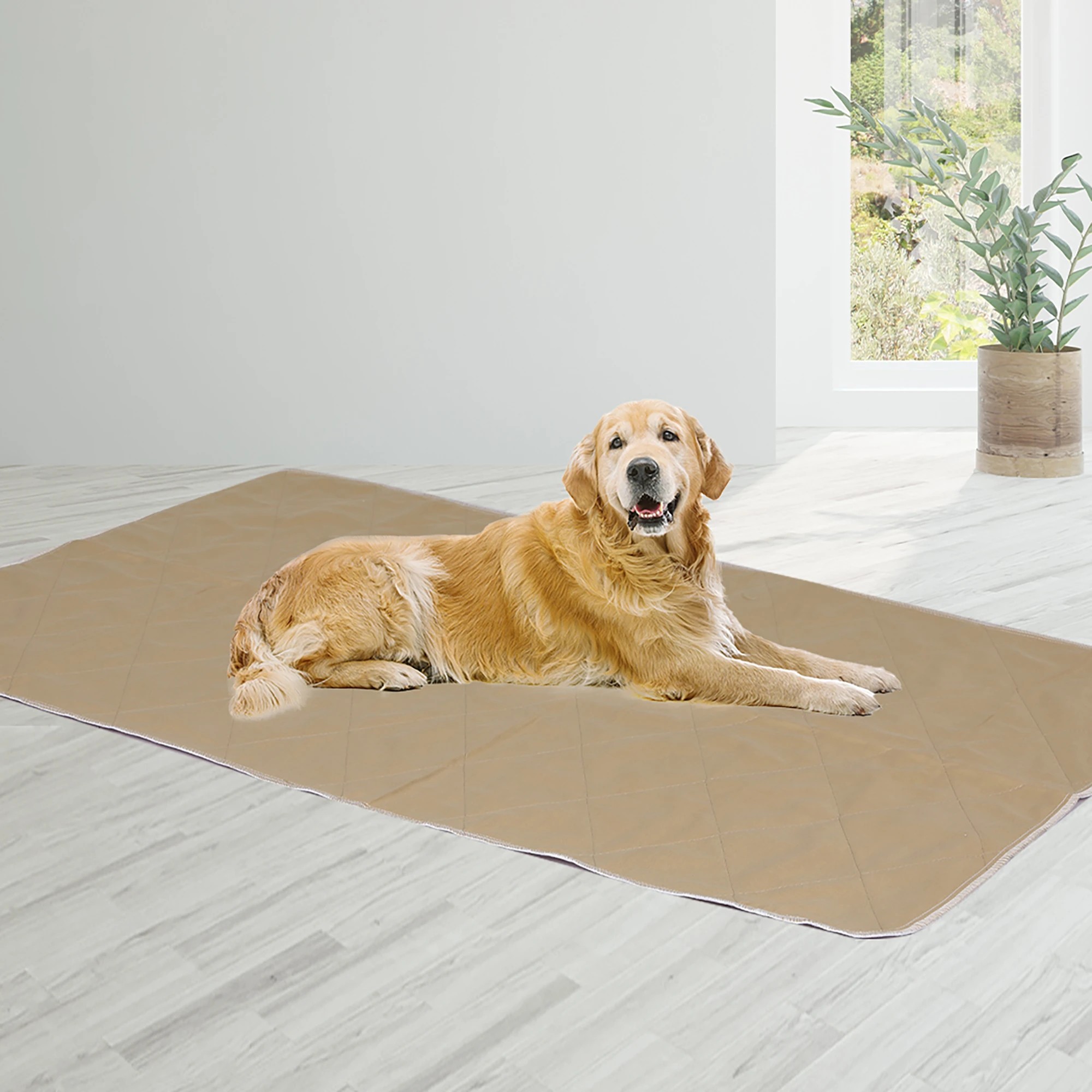 5 Pawz Washable Puppy Training Pad 120x120cm 2pc S, 5 of 5