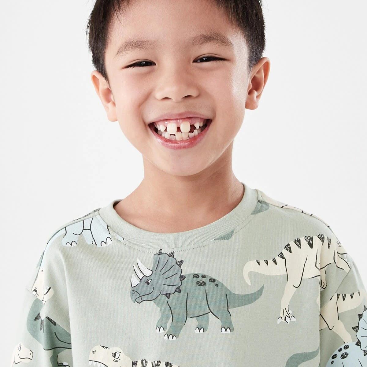 3 All Over Print T-shirt CRANKY DINOS AQUA GREY, 3 of 6