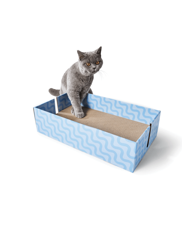 3 Pack Cat Scratc
