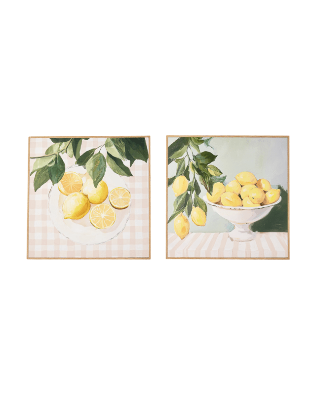 2 Pack Lemon Framed Canvas - 40cm x 