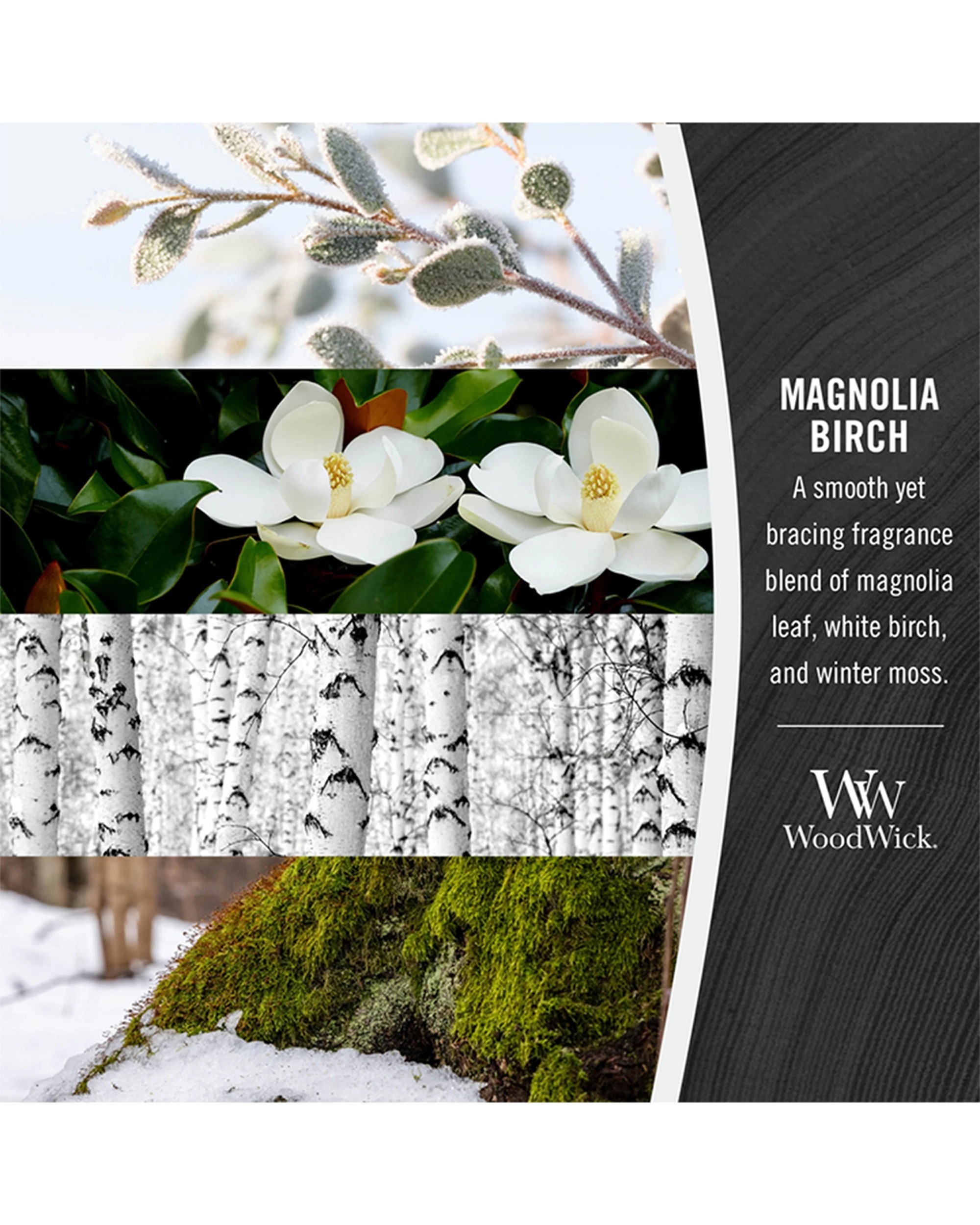 3 Woodwick Scented Soy Wax Candle Magnolia Birch Scented Home Fragrance Medium - Blue, 3 of 3