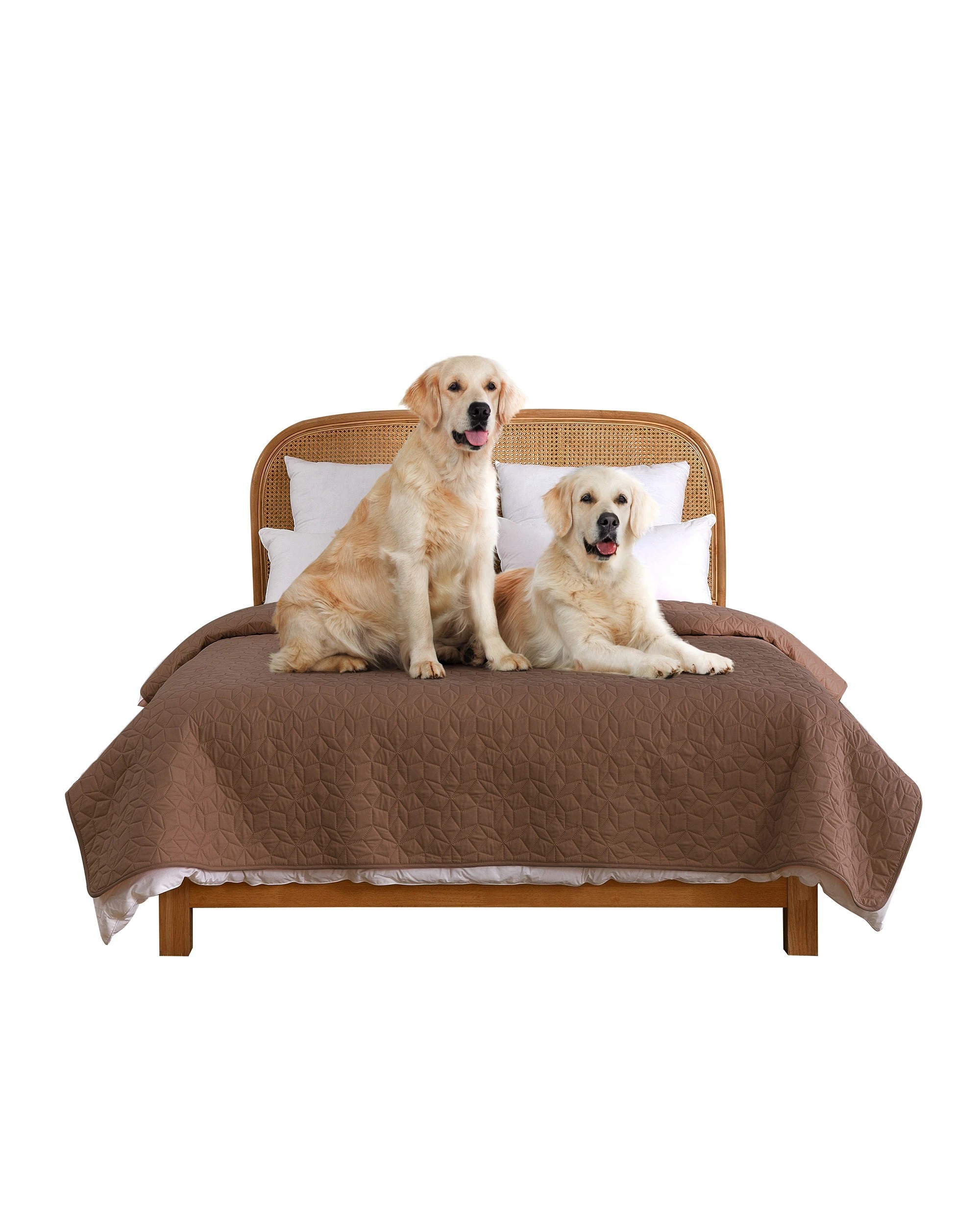 3 Charlie's Sofur Waterproof Dog Bed Cover Protector 208x305cm - King/Super King Bed - Espresso, 3 of 10