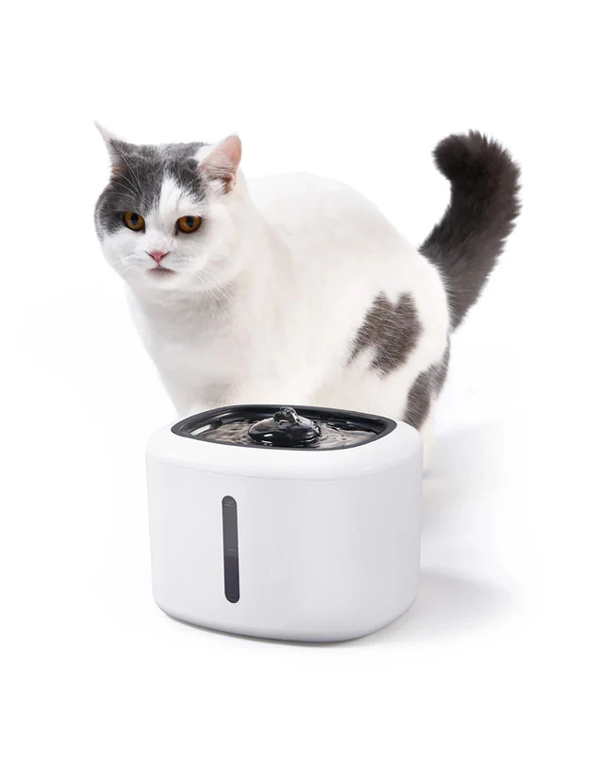4 Lenoxx Smart 2.5L Pet Dog Cat Drinking Fountain Filtered Flowing Water - White, 4 of 4