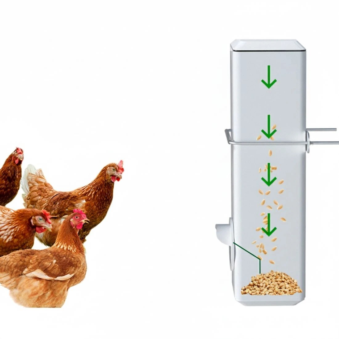 2 Giantz Chicken Feeder 4L Water Dispenser Automatic - White, 2 of 4