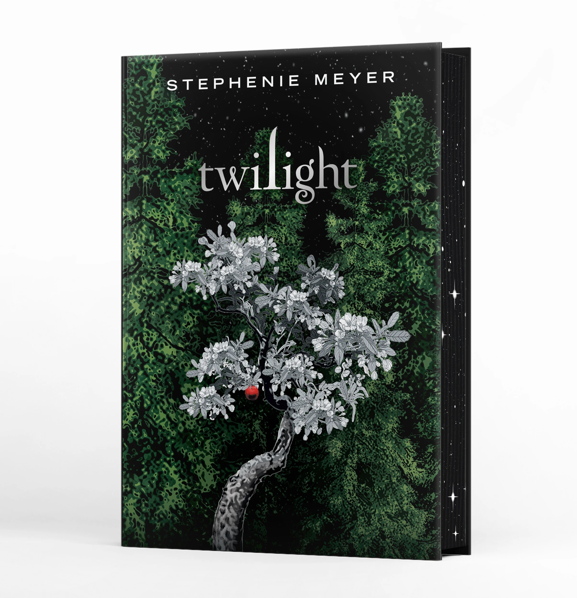 2 Twilight Deluxe Collector's Edition by Stephenie Meyer - Book, 2 of 6