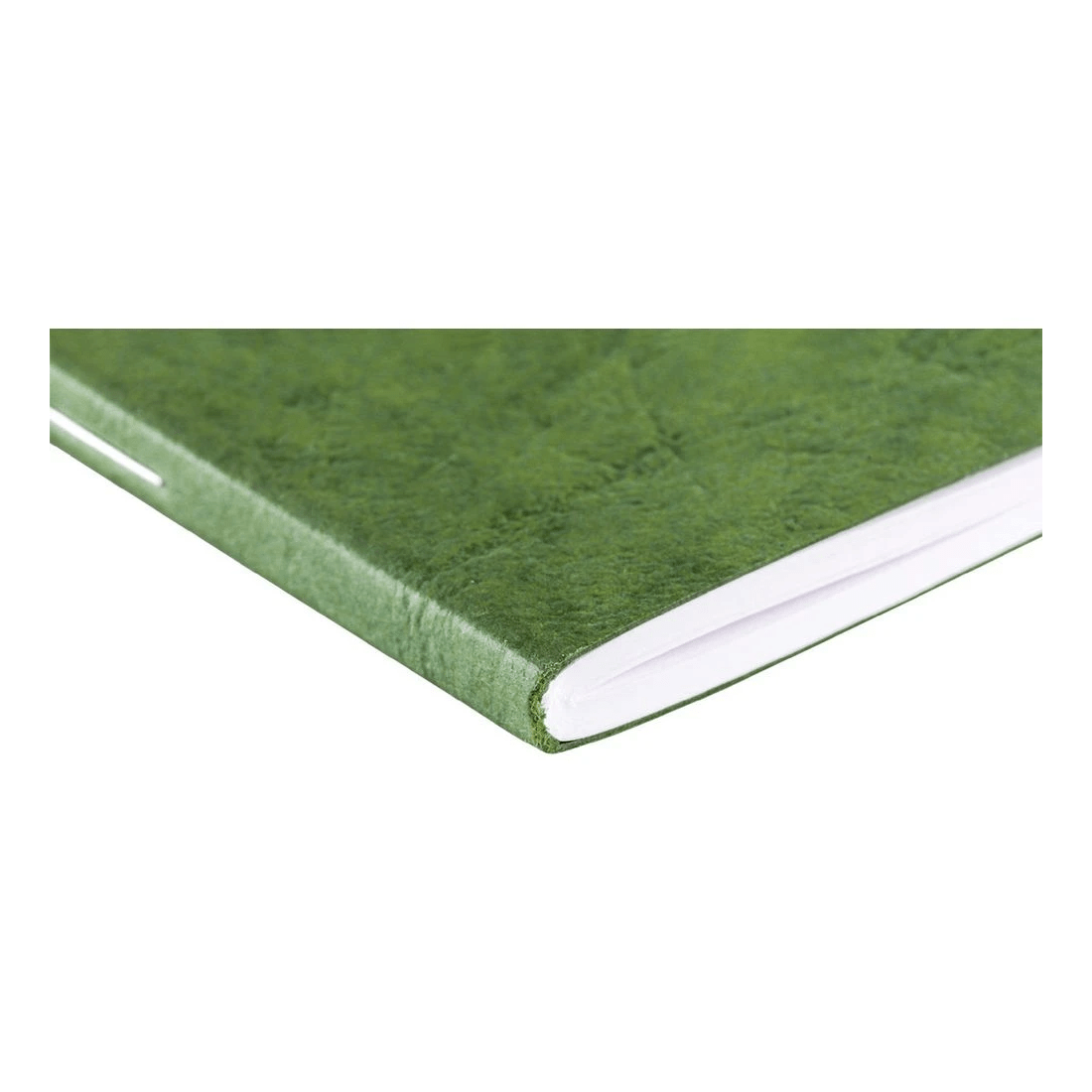 4 Clairefontaine My Essentials A4 Notebook Ruled 2 Pack Green, 4 of 5