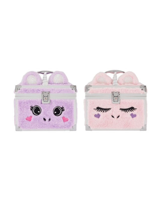 Lockable Storage Case - Asso