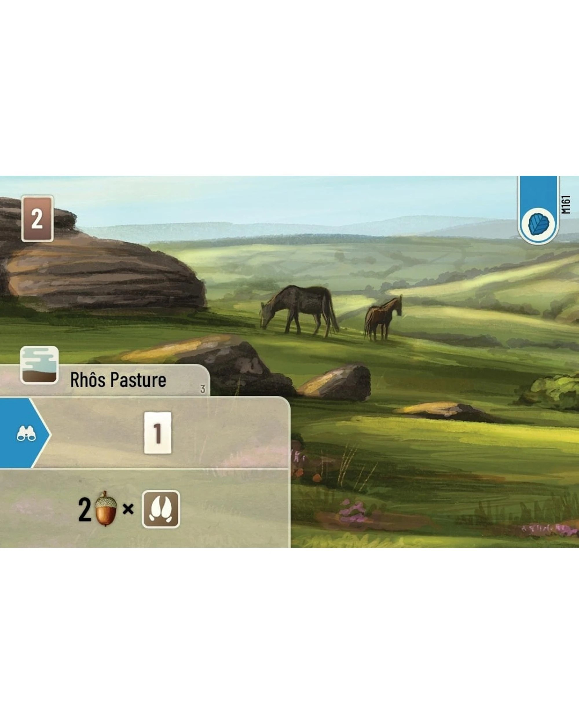 3 Forest Shuffle: Dartmoor Card Game, 3 of 5