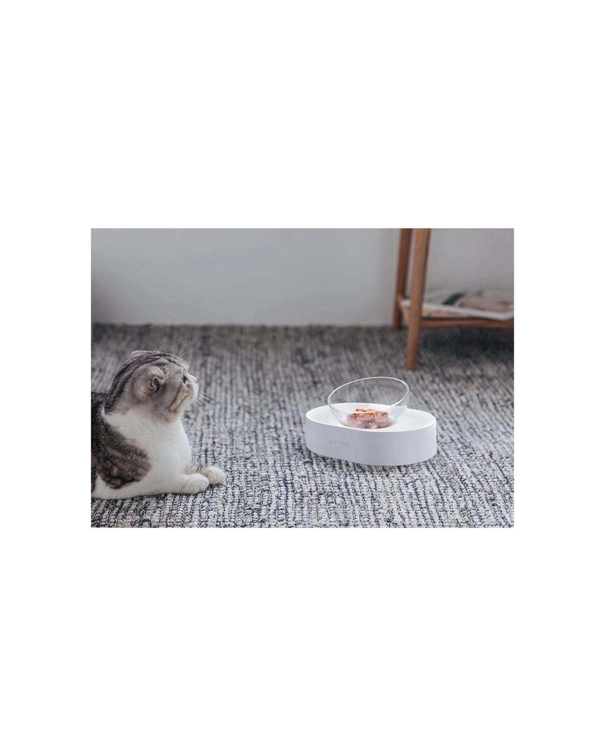 3 Petkit Fresh Nano Adjustable Single Feeding Bowl Set Elevated Detachable - White, 3 of 3