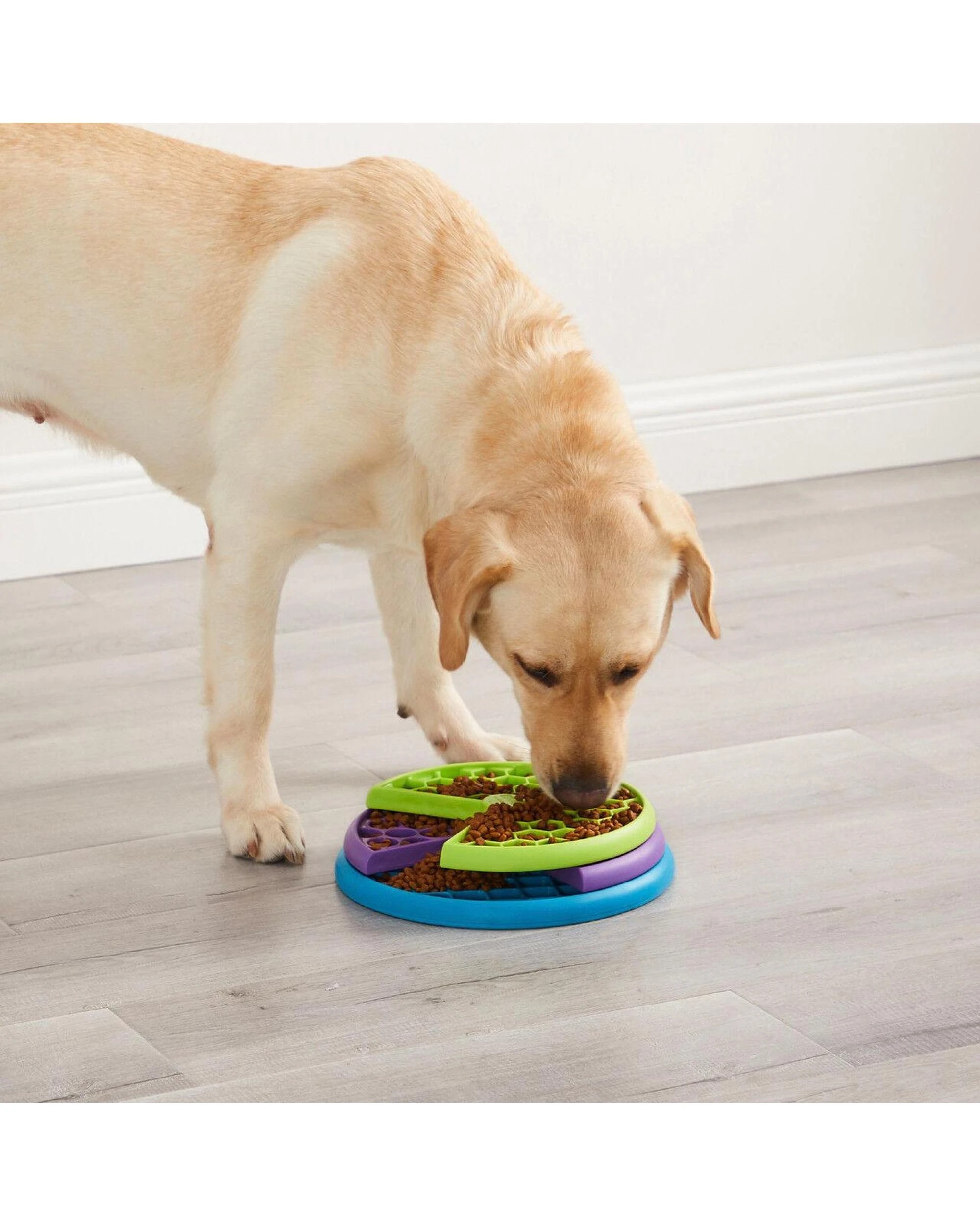 6 Outward Hound Nina Ottosson Lickin Layers Puzzle Game Level 2 Dog Toy, 6 of 6