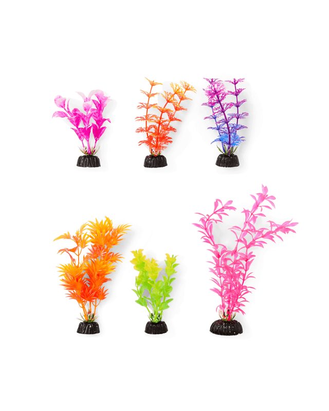 6 Pack Aquarium Bright Plants - S