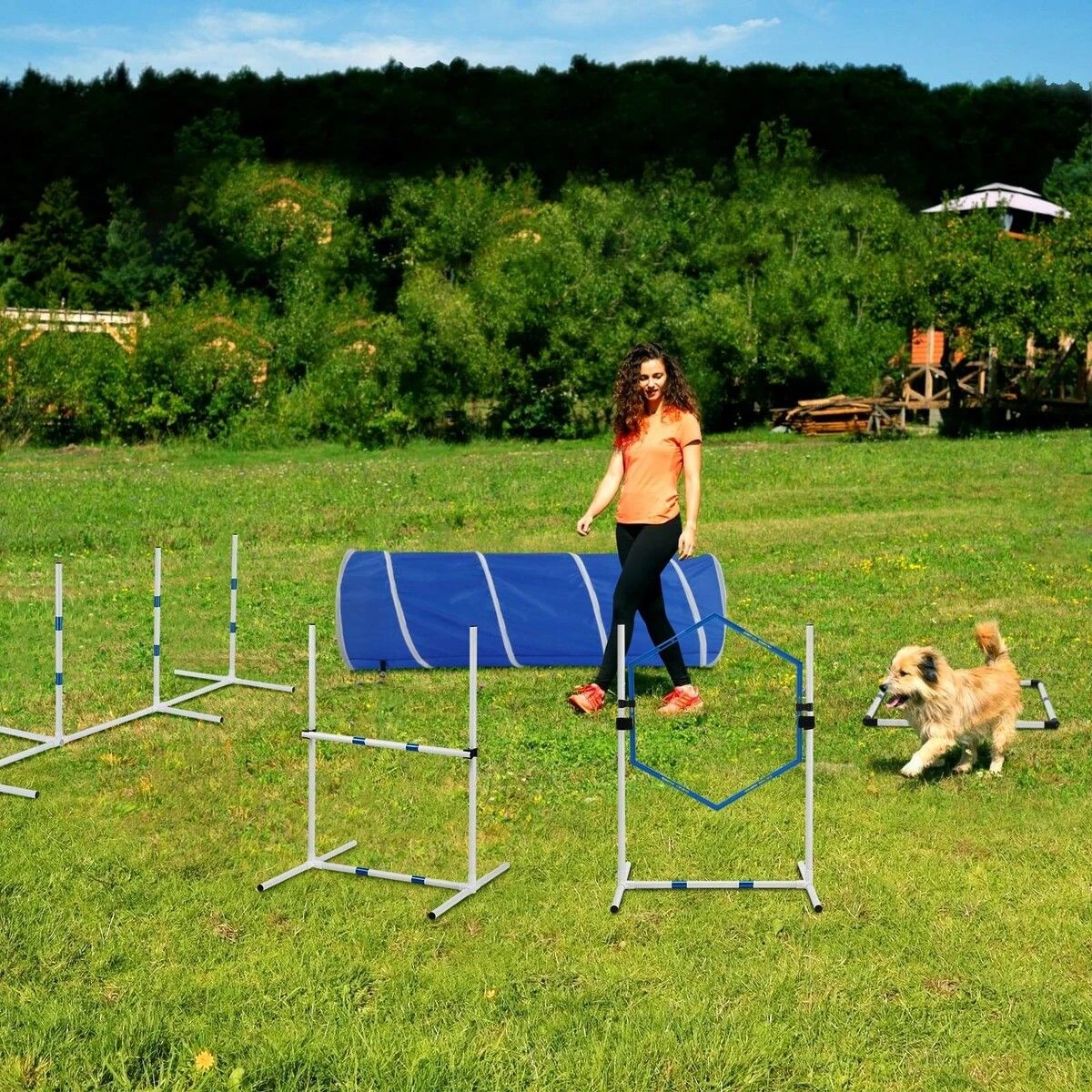 4 Pet Scene Dog Agility Equipment 7PCS Set Obstacle Course Pet Training, 4 of 4