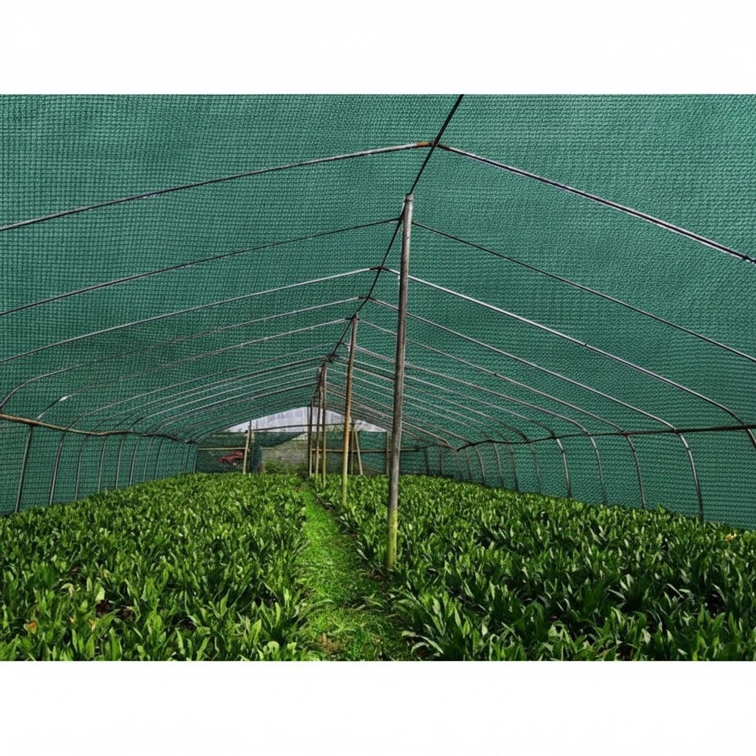 4 Instahut 30% Shade Cloth 1.83x20m Shadecloth Wide Heavy Duty - Green, 4 of 7