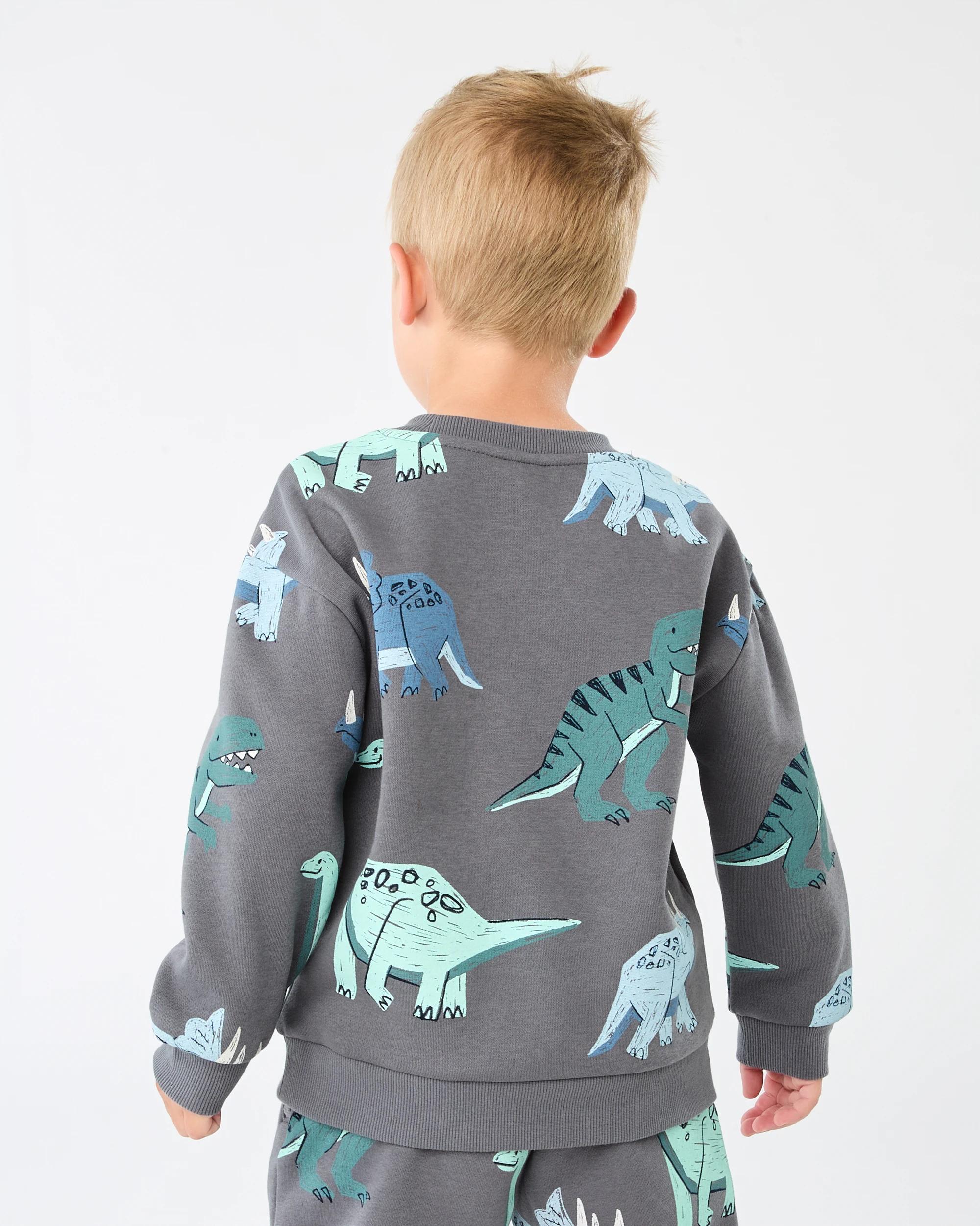 2 All Over Print Crew Neck Sweatshirt Gry Dino, 2 of 6