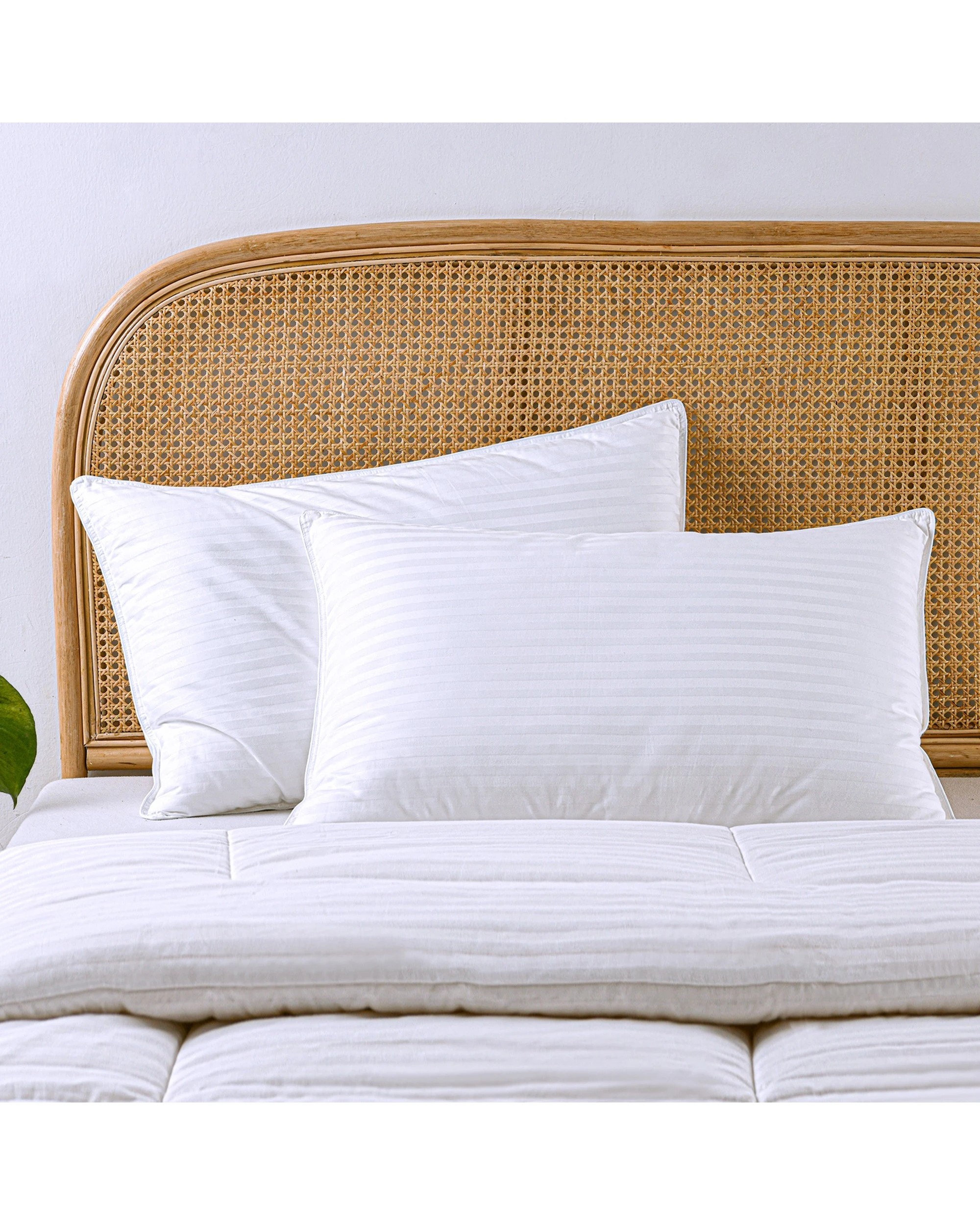 1 Dreamaker Hotel Collection Cotton Sateen Cover Microfibre Standard Pillow Twin Pack - White, 1 of 6