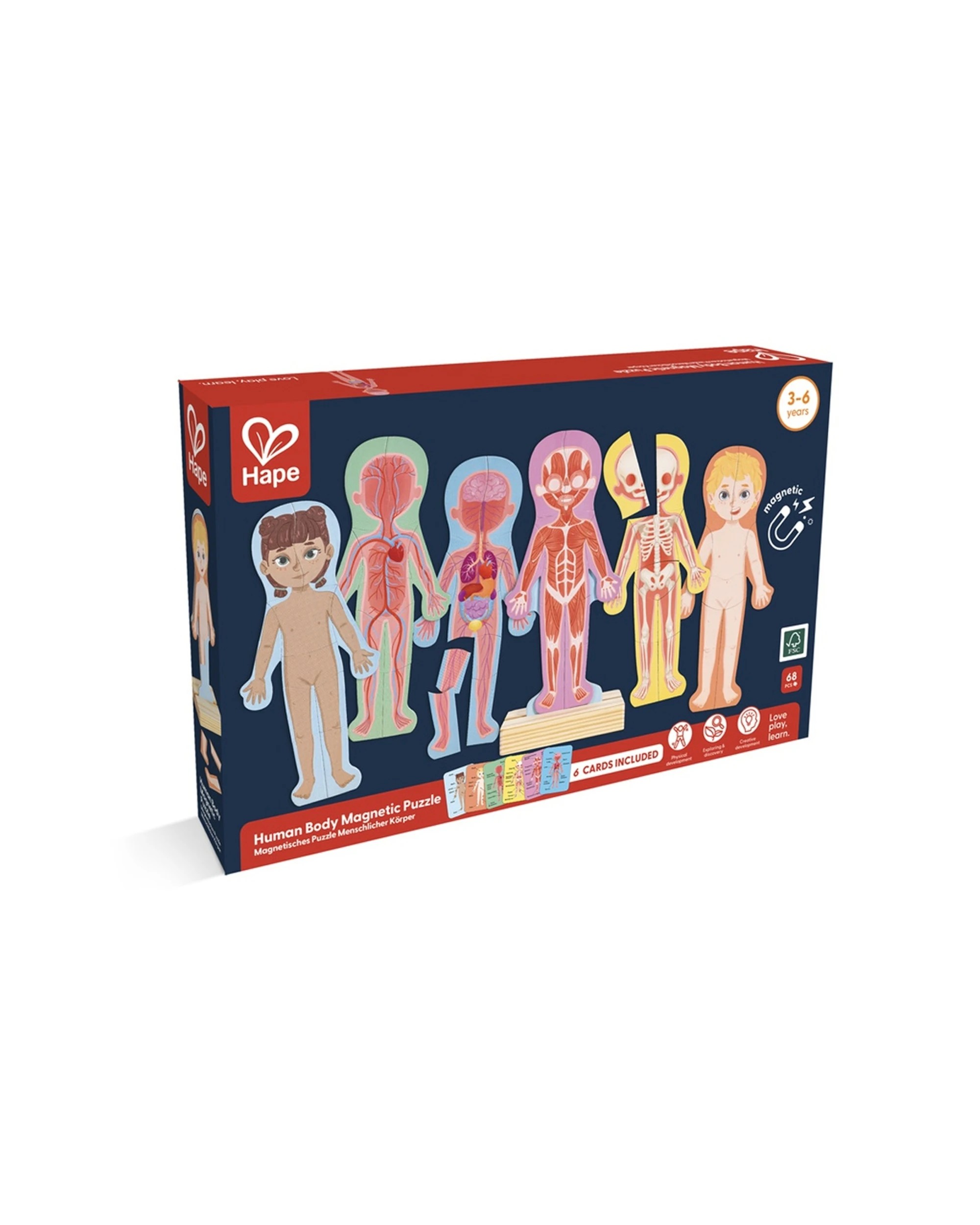 2 Hape Human Body Magnetic Puzzle Anatomy Learning Set Educational Kids - Multi, 2 of 5