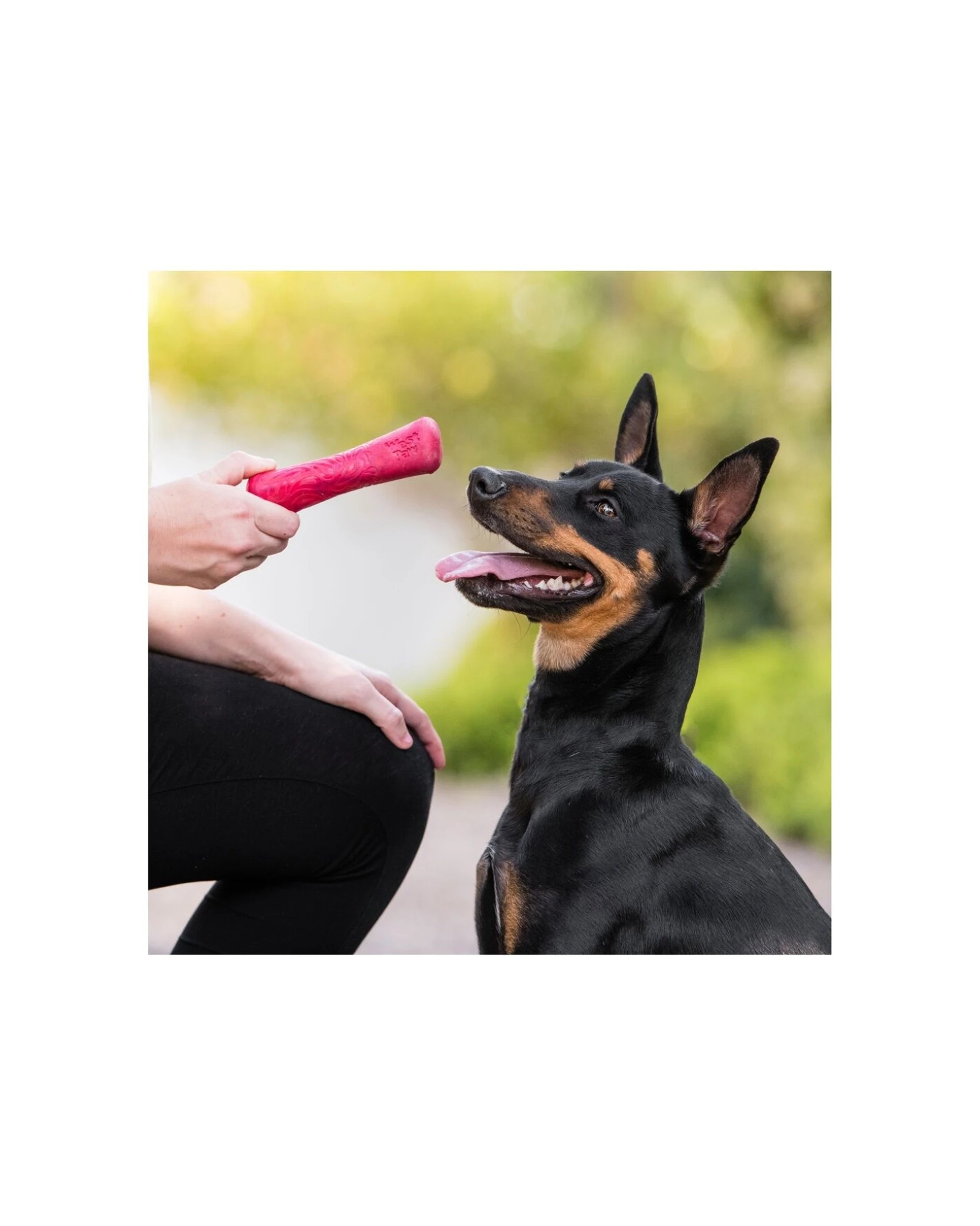 3 West Paw Drifty Bone Dog Fetch Chew Toy Small Floatable Moderate Chewers - Pink, 3 of 3