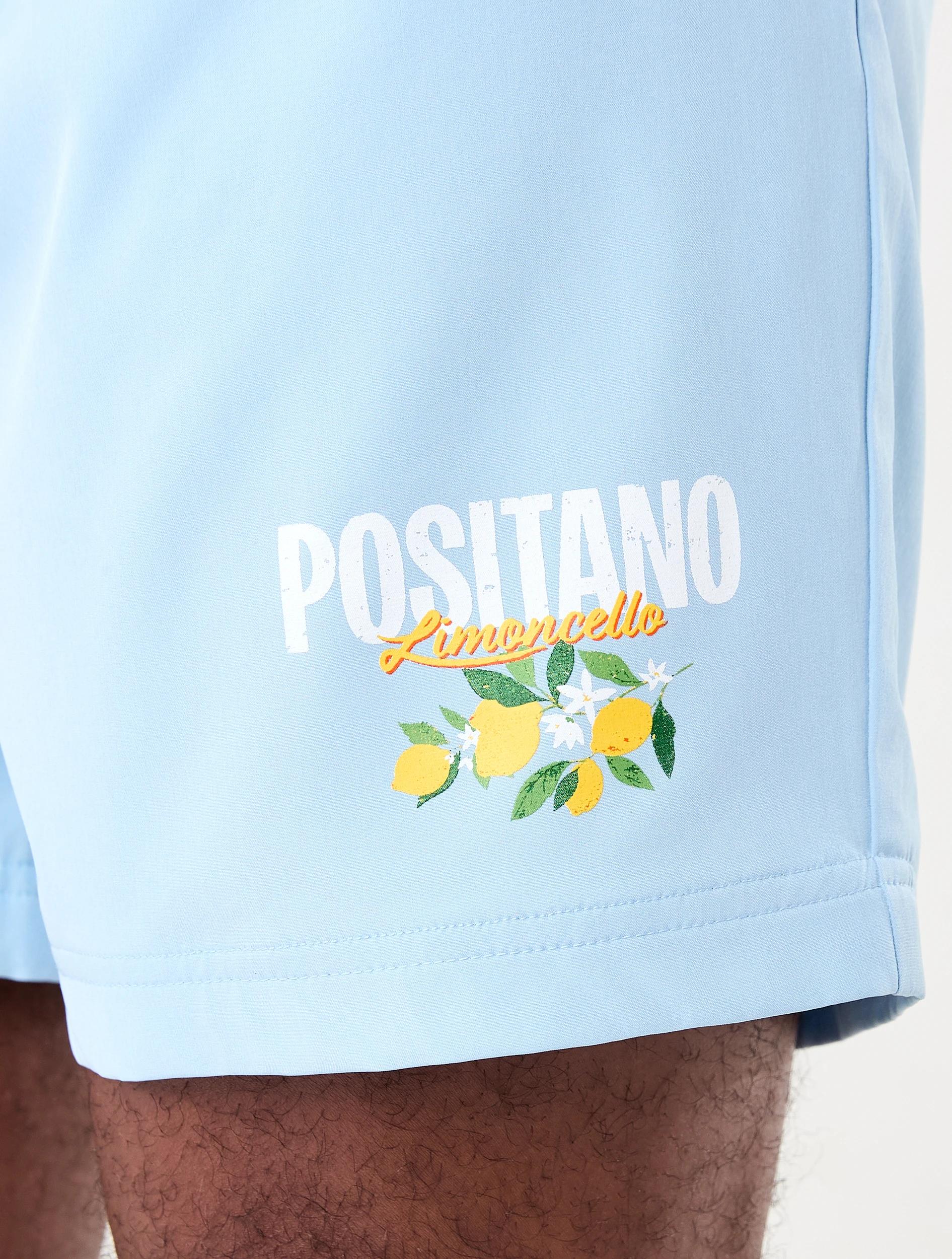 6 Regular Print Boardshorts Blu Lemon, 6 of 7