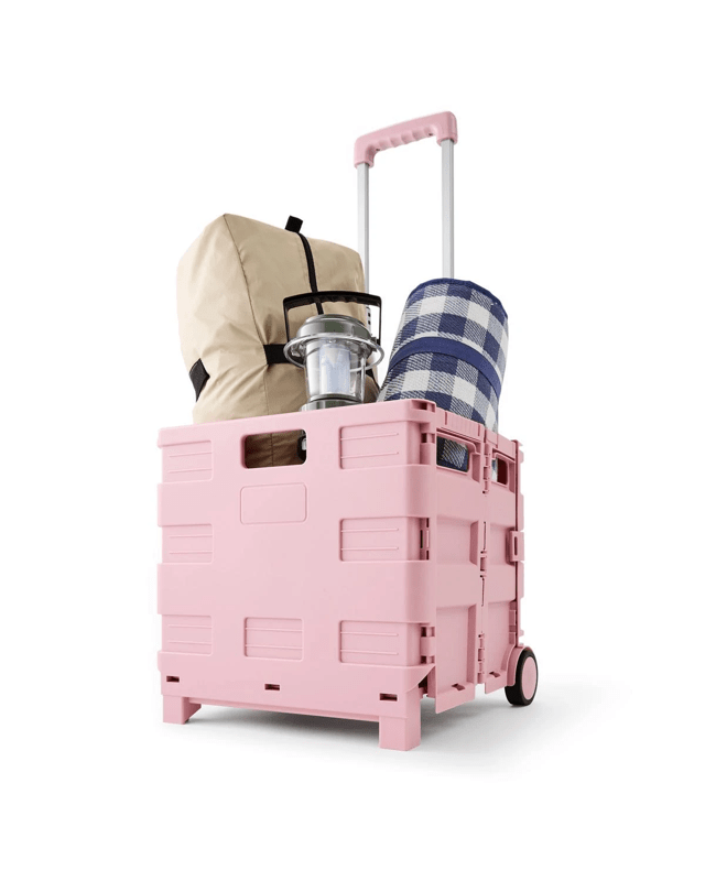 Collapsible Trolley Box - 