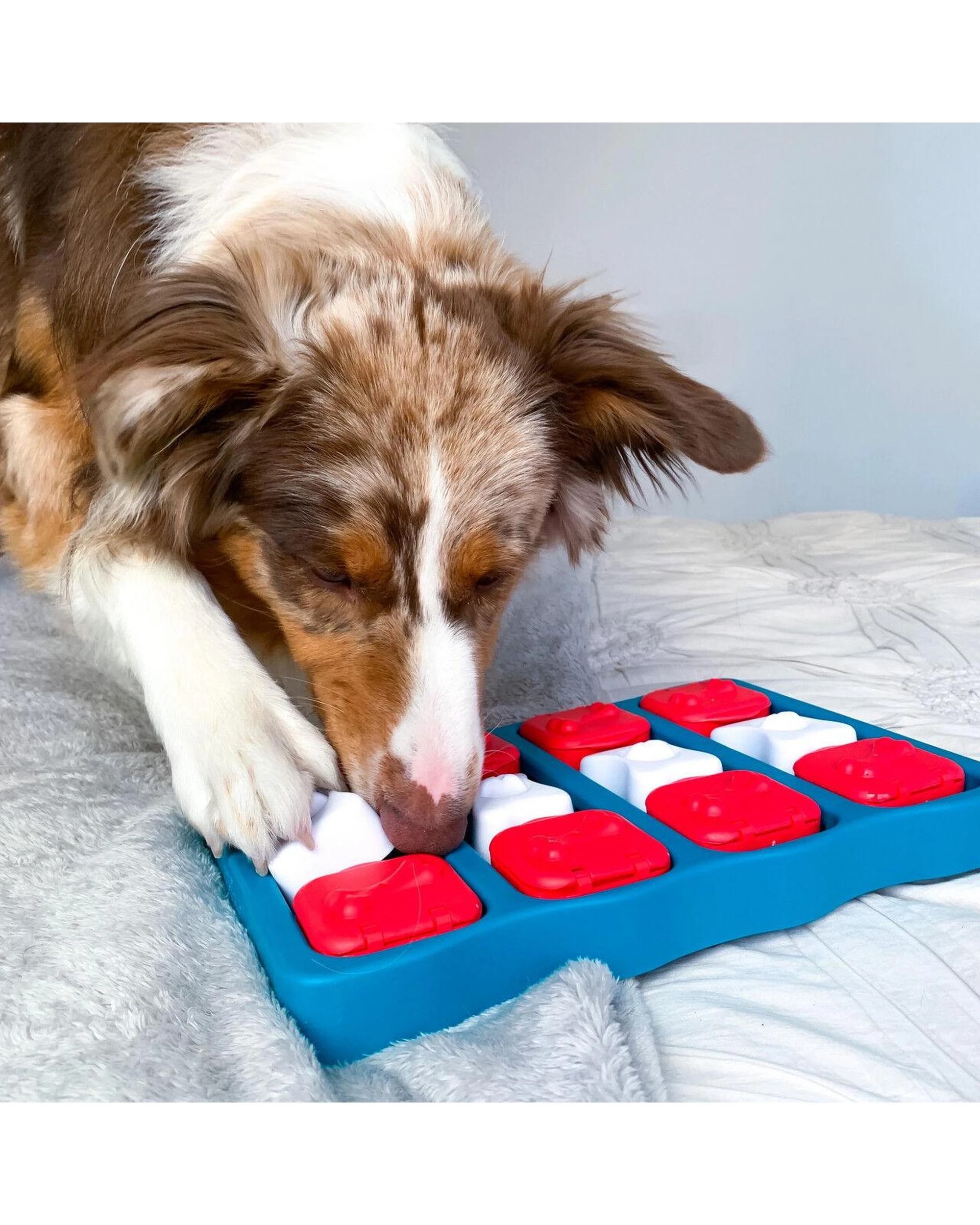 7 Outward Hound Nina Ottosson Dog Brick Puzzle Game Level 2 Dog Toy Blue, 7 of 9
