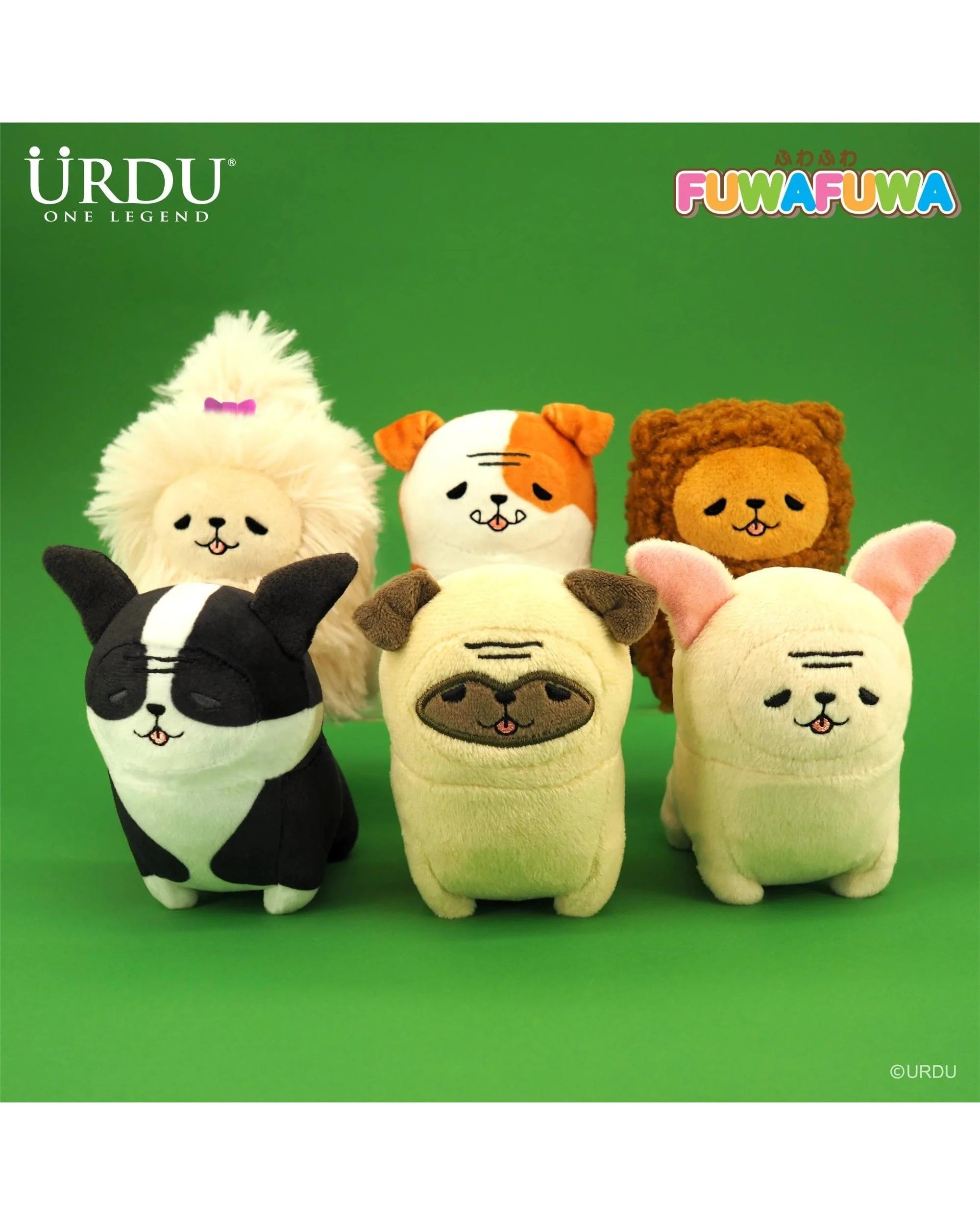 3 URDU Fuwafuwa Part 13 Snub-Nosed Dog Blind Box, 3 of 8