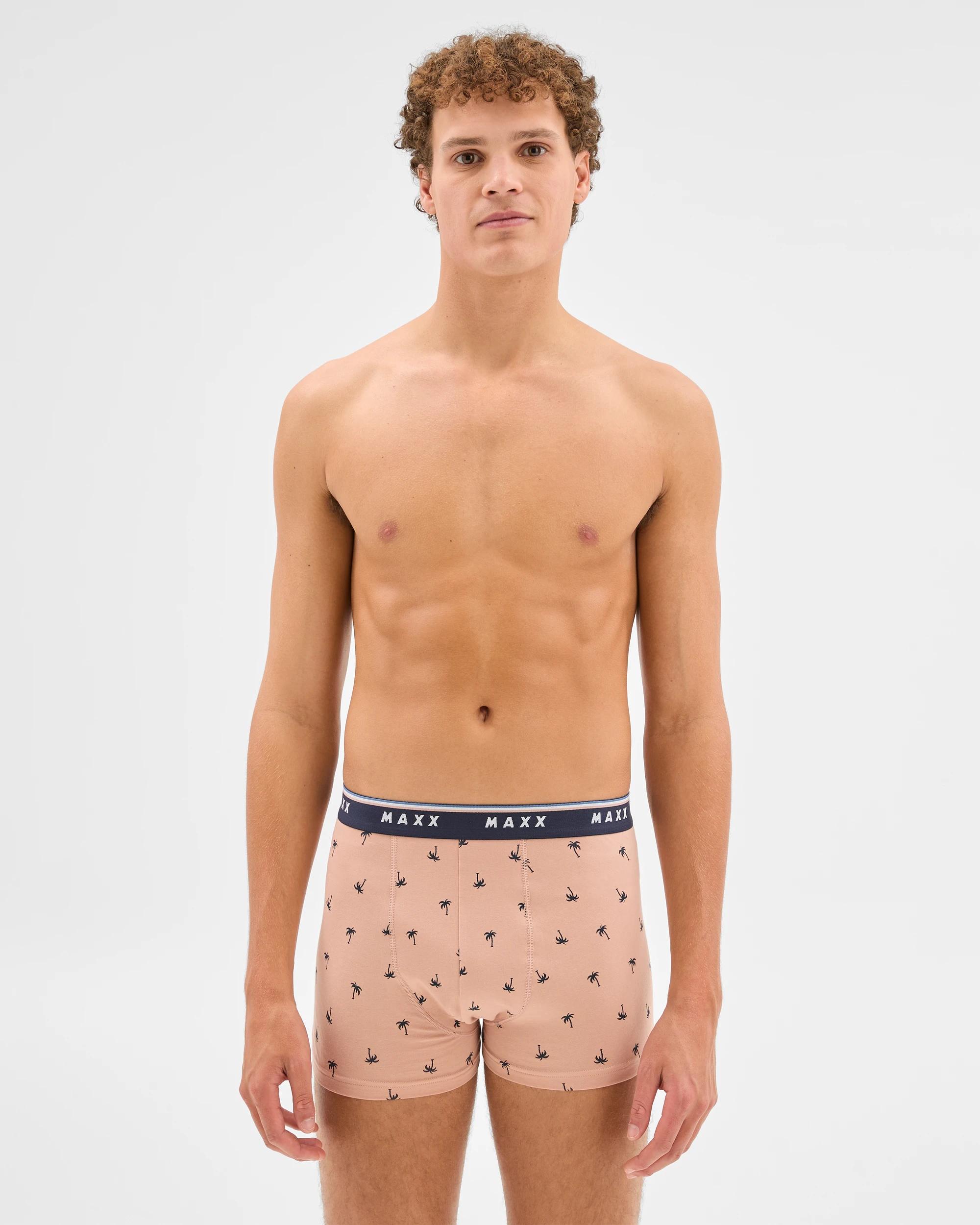 5 Mens Hipster Trunk 3 Pack - Maxx MULTI PALM TREE/STONEWASH/STRIPE, 5 of 6