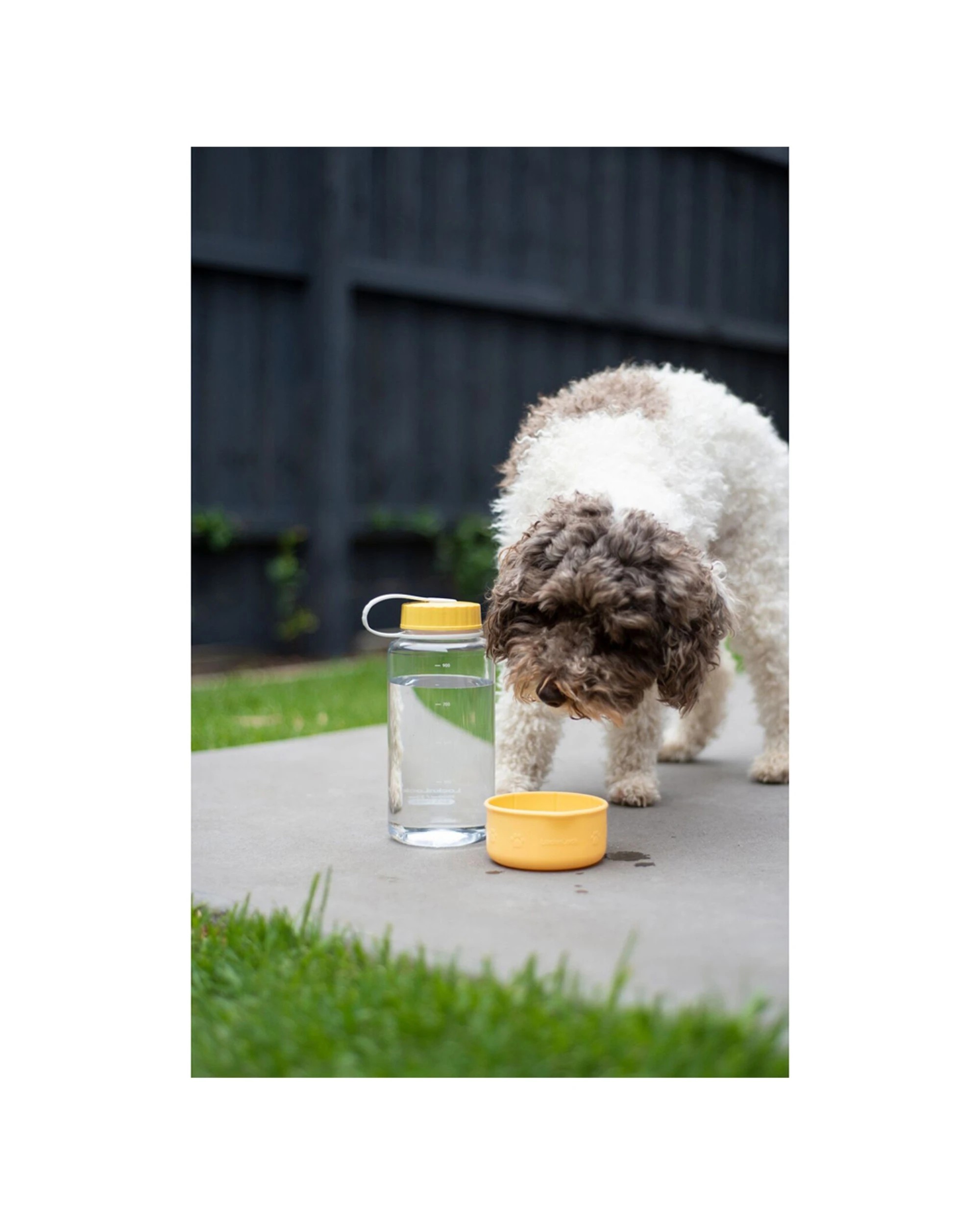 6 Lock & Lock Dog Cat Pet Water Bottle Silicone Bowl Leakproof With Handle 1L - Multi, 6 of 6