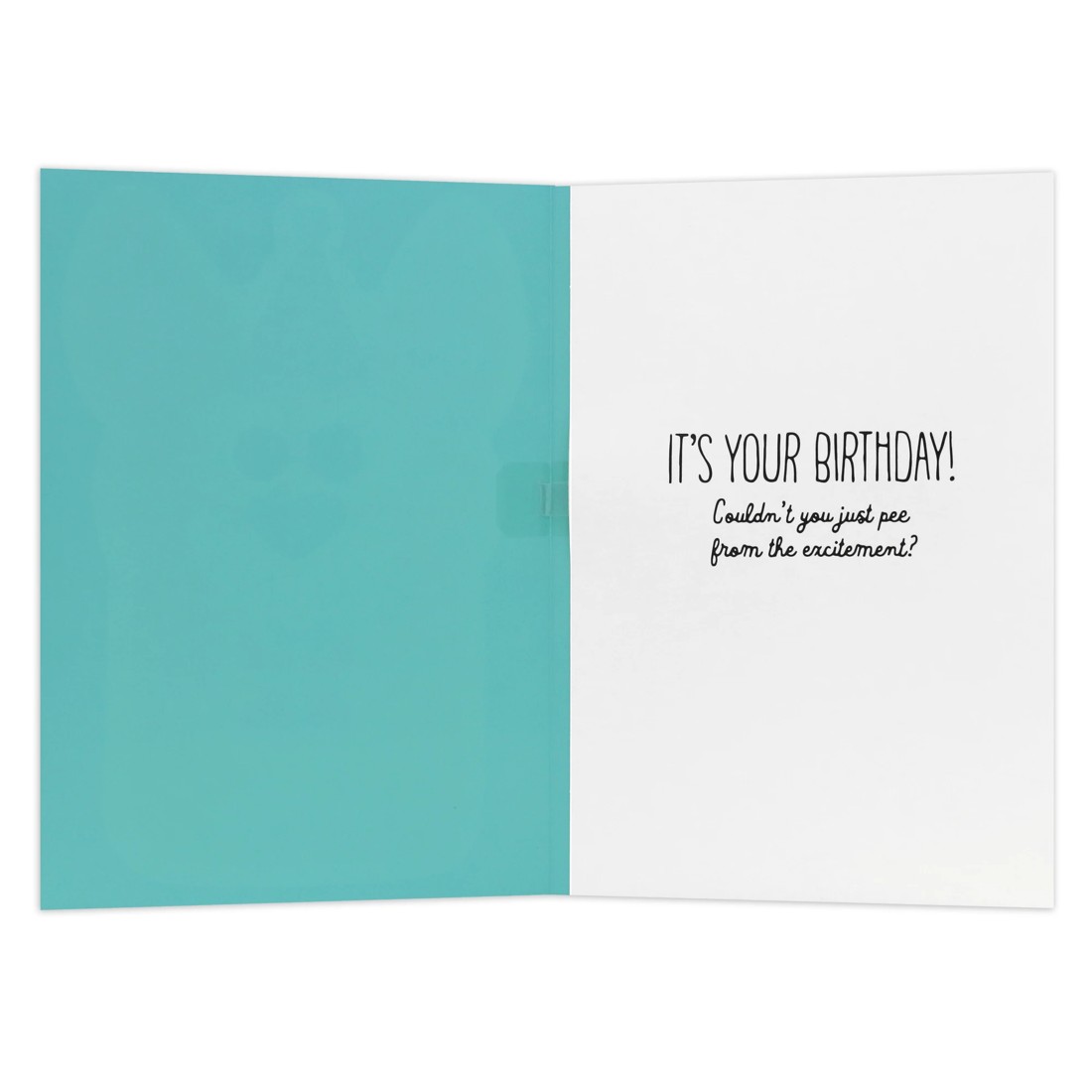 2 Hallmark Interactive Sound Birthday Card - Excited Dog, 2 of 4