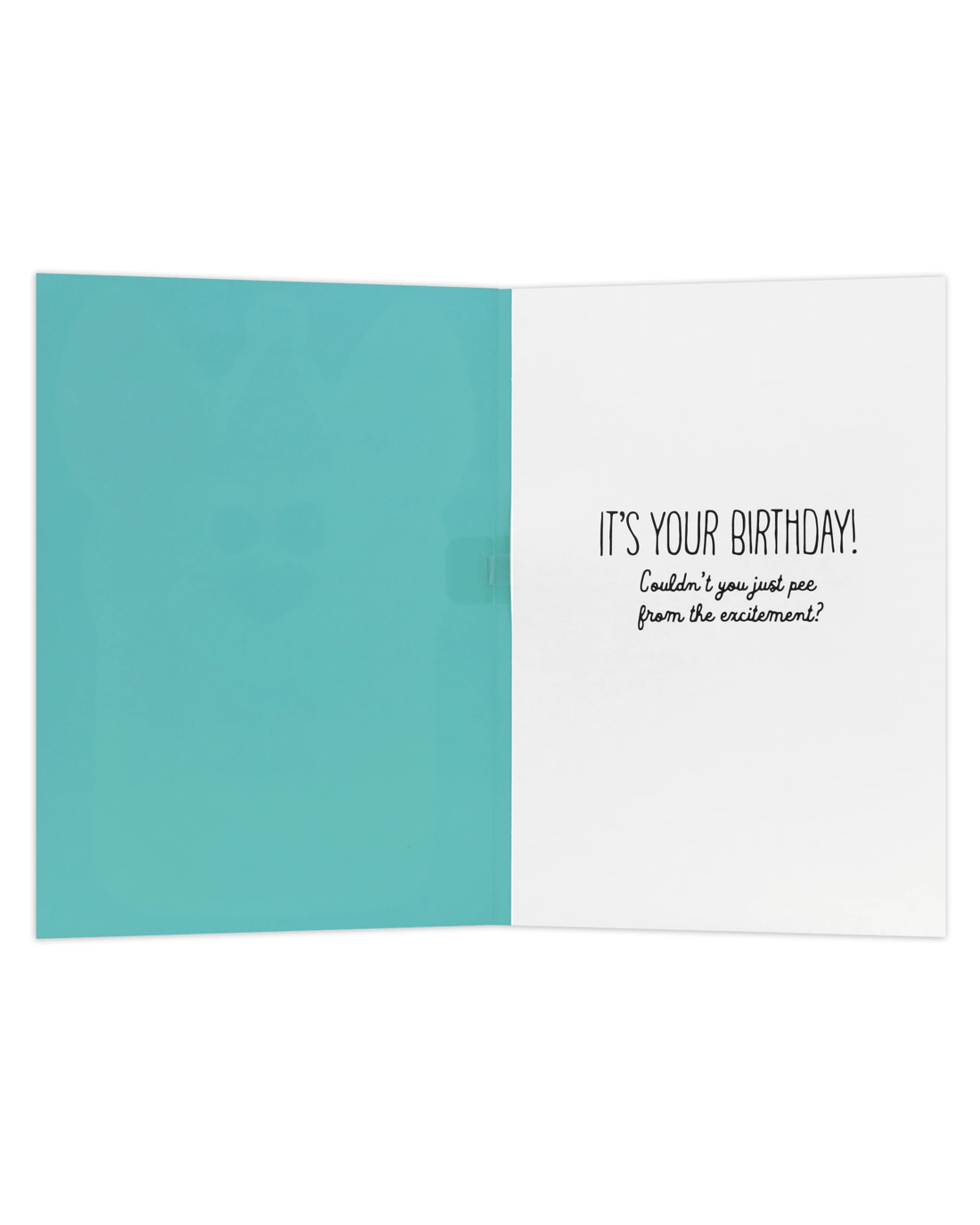 2 Hallmark Interactive Sound Birthday Card - Excited Dog, 2 of 4