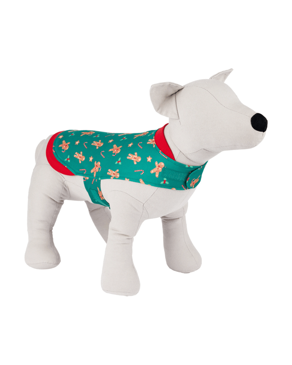 Pet Gingerman Costume - Large to Extra Large