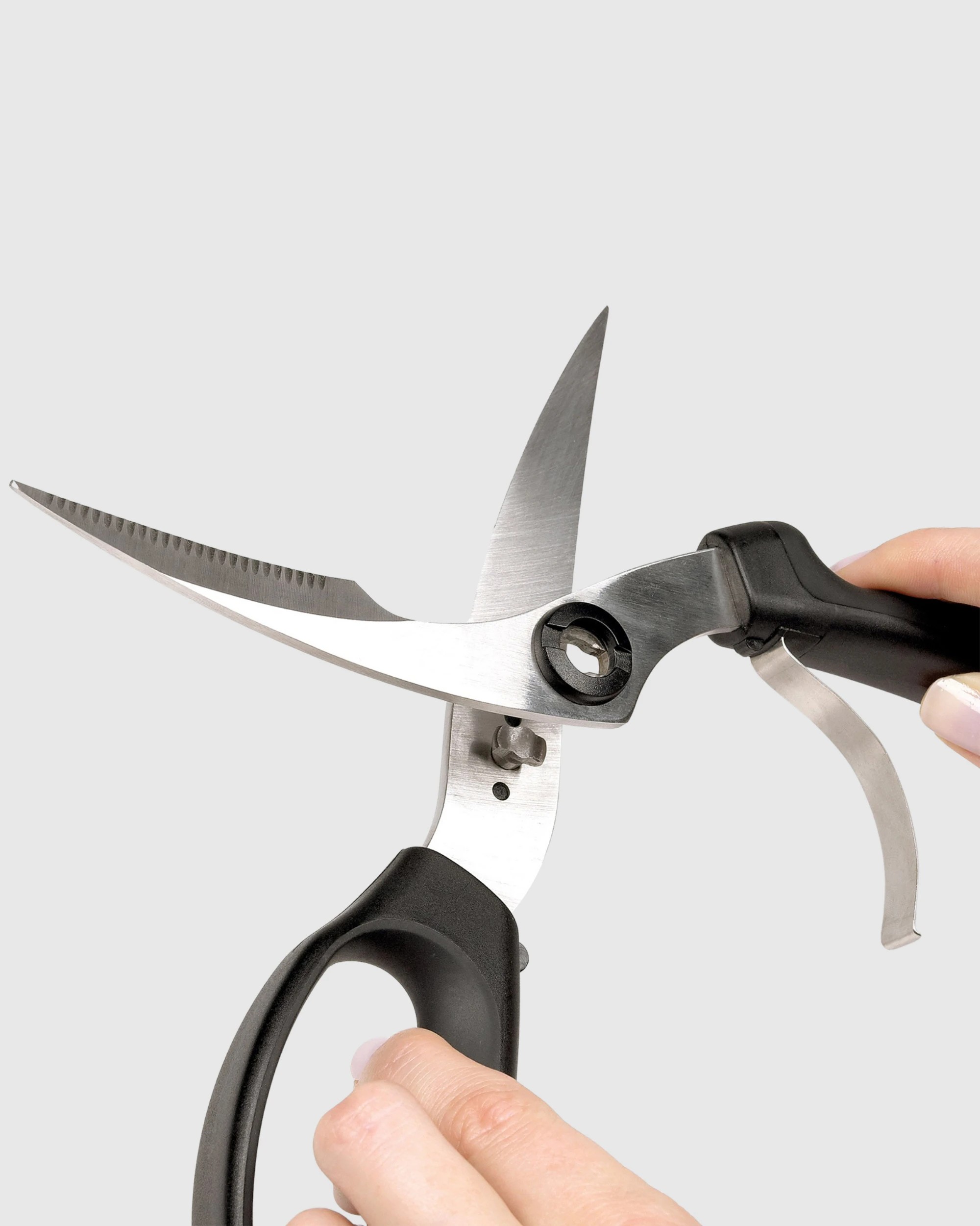 3 OXO Good Grips Poultry Pull Apart Scissors Shears, 3 of 3