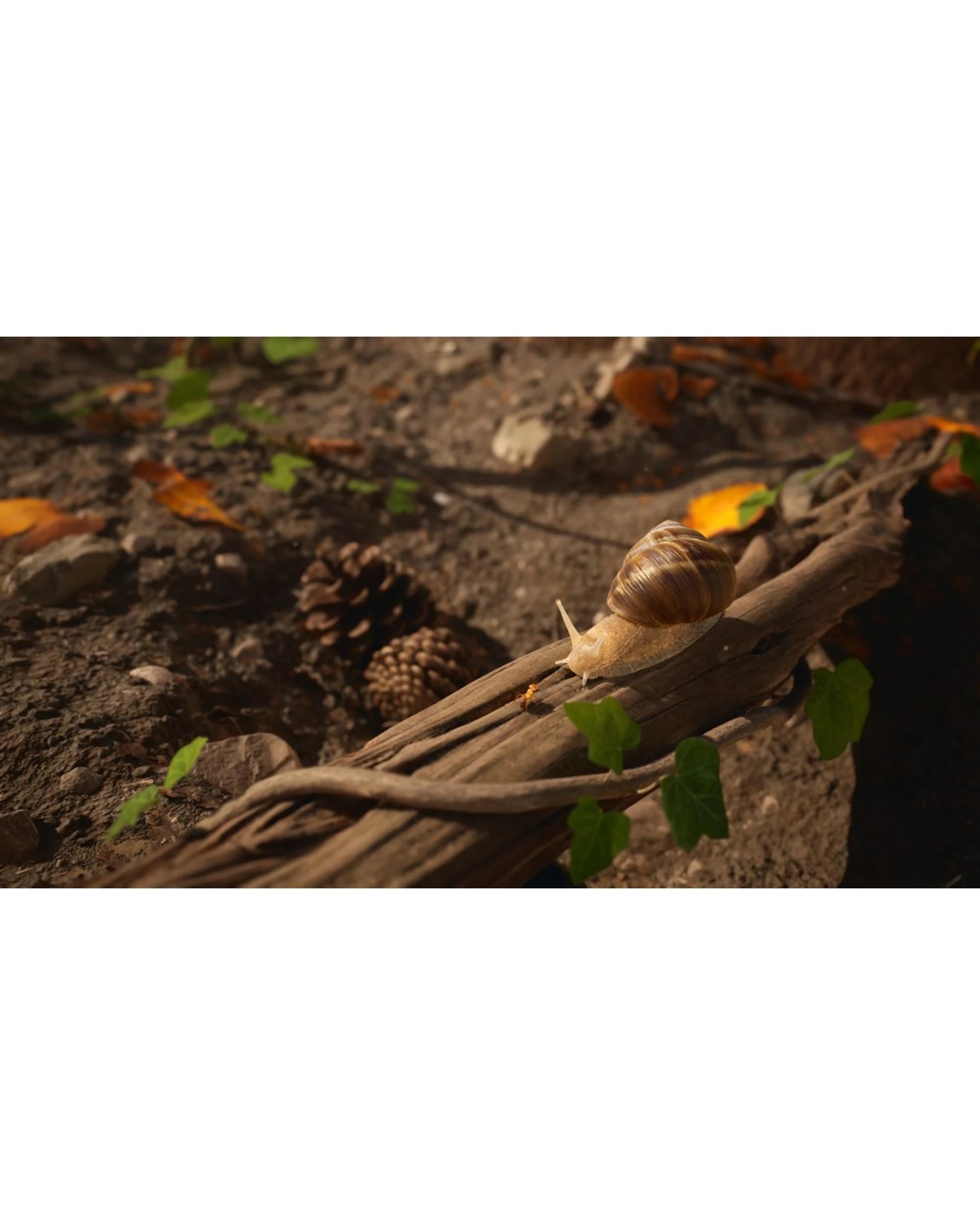 4 Empire of the Ants Limited Edition - PS5, 4 of 7