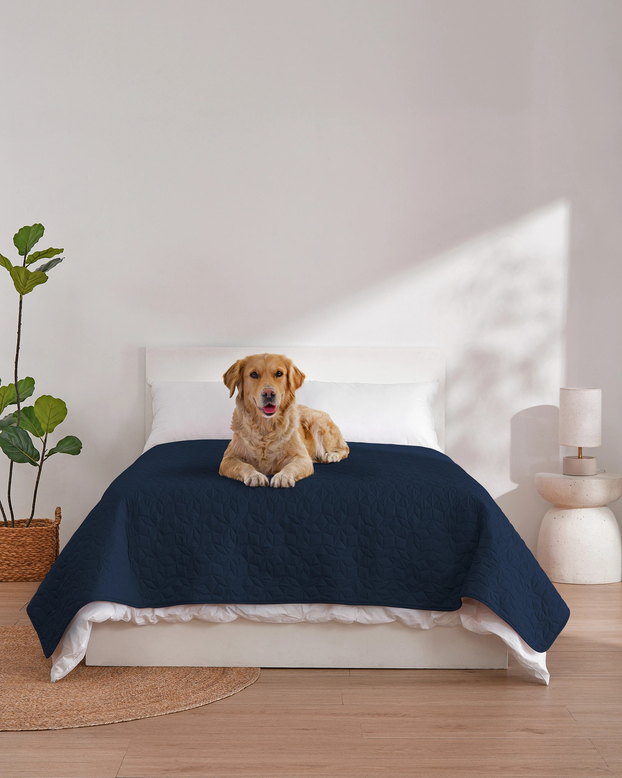 1 Charlie's Sofur Waterproof Dog Bed Cover Protector 208x208cm - Double/Queen - Midnight Blue, 1 of 10