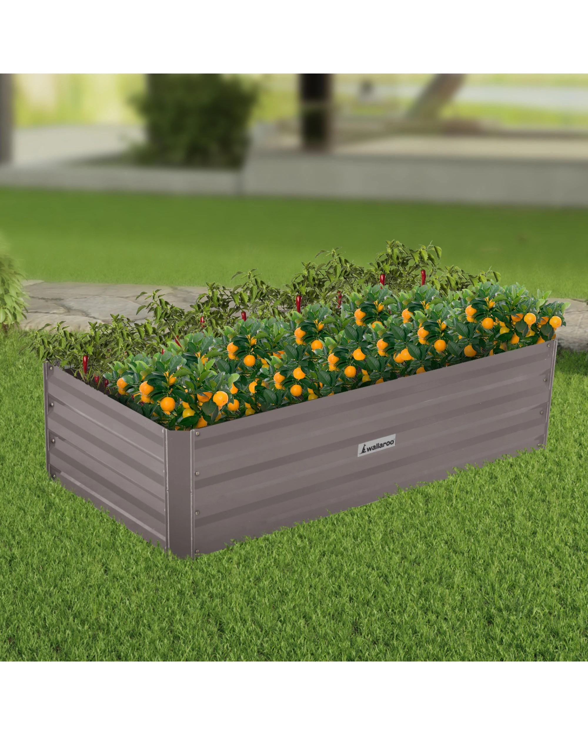3 Wallaroo Steel Raised Garden Bed 120 x 60 x 30cm Flowers Vegetables Plants Herbs - Grey, 3 of 8
