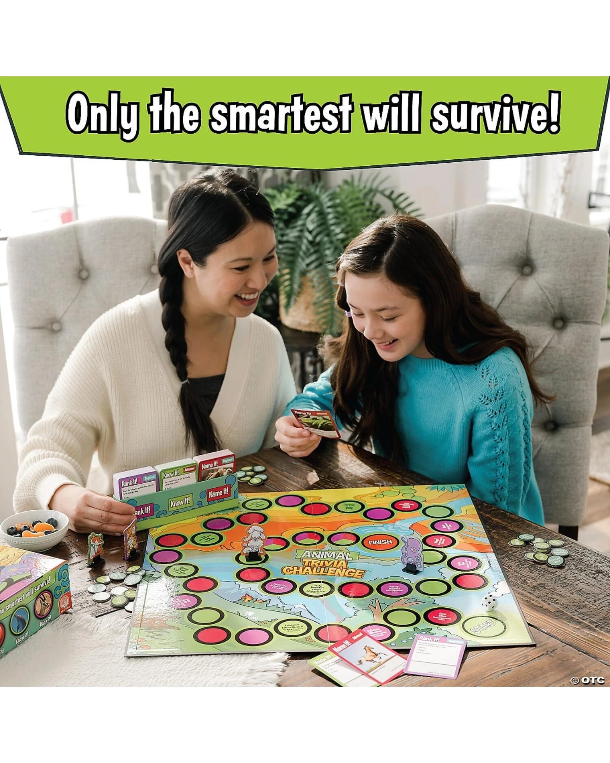 2 Animal Trivia Challenge Board Game, 2 of 5