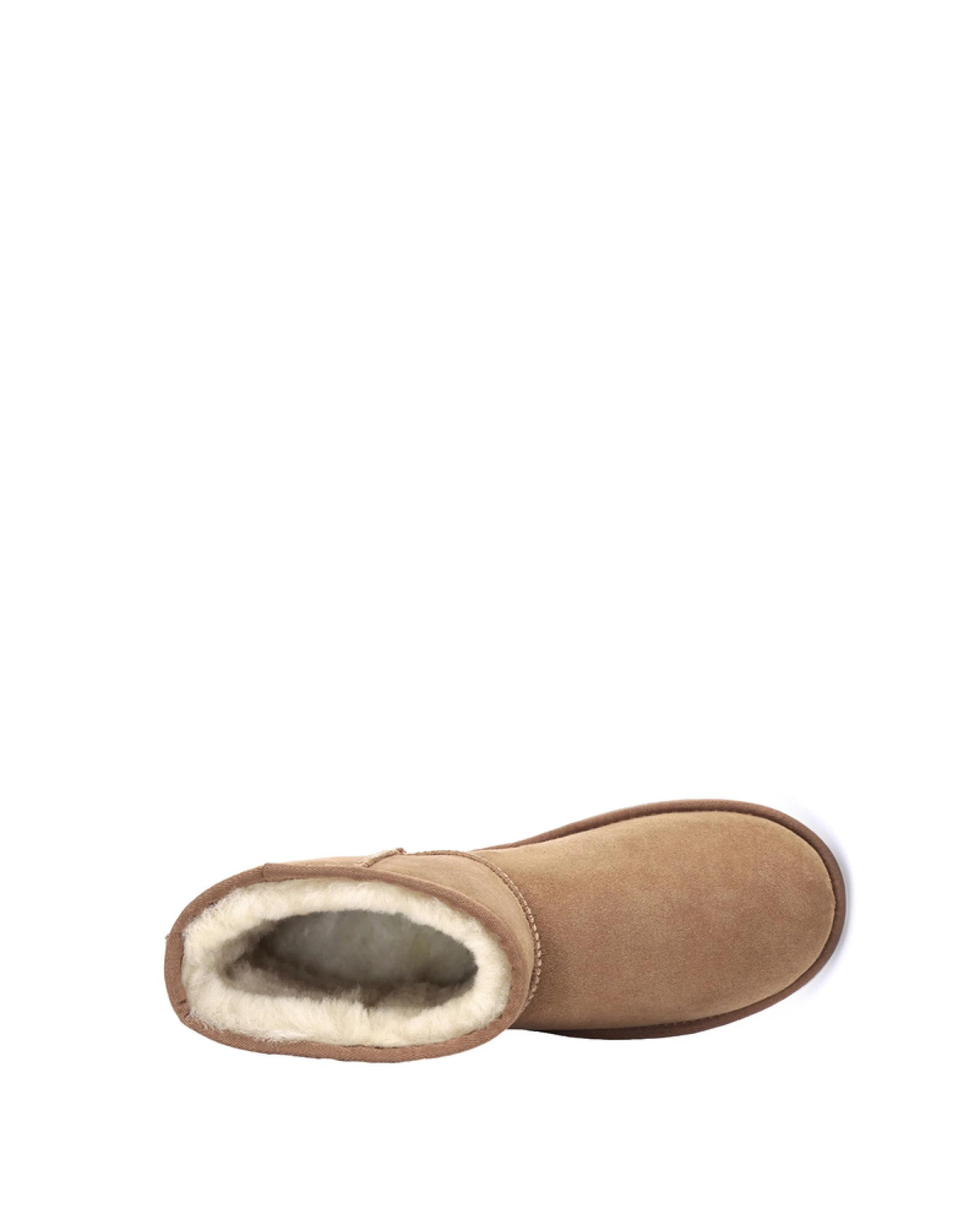 5 Australian Shepherd UGG Unisex Mini classic Boots CHESTNUT, 5 of 5