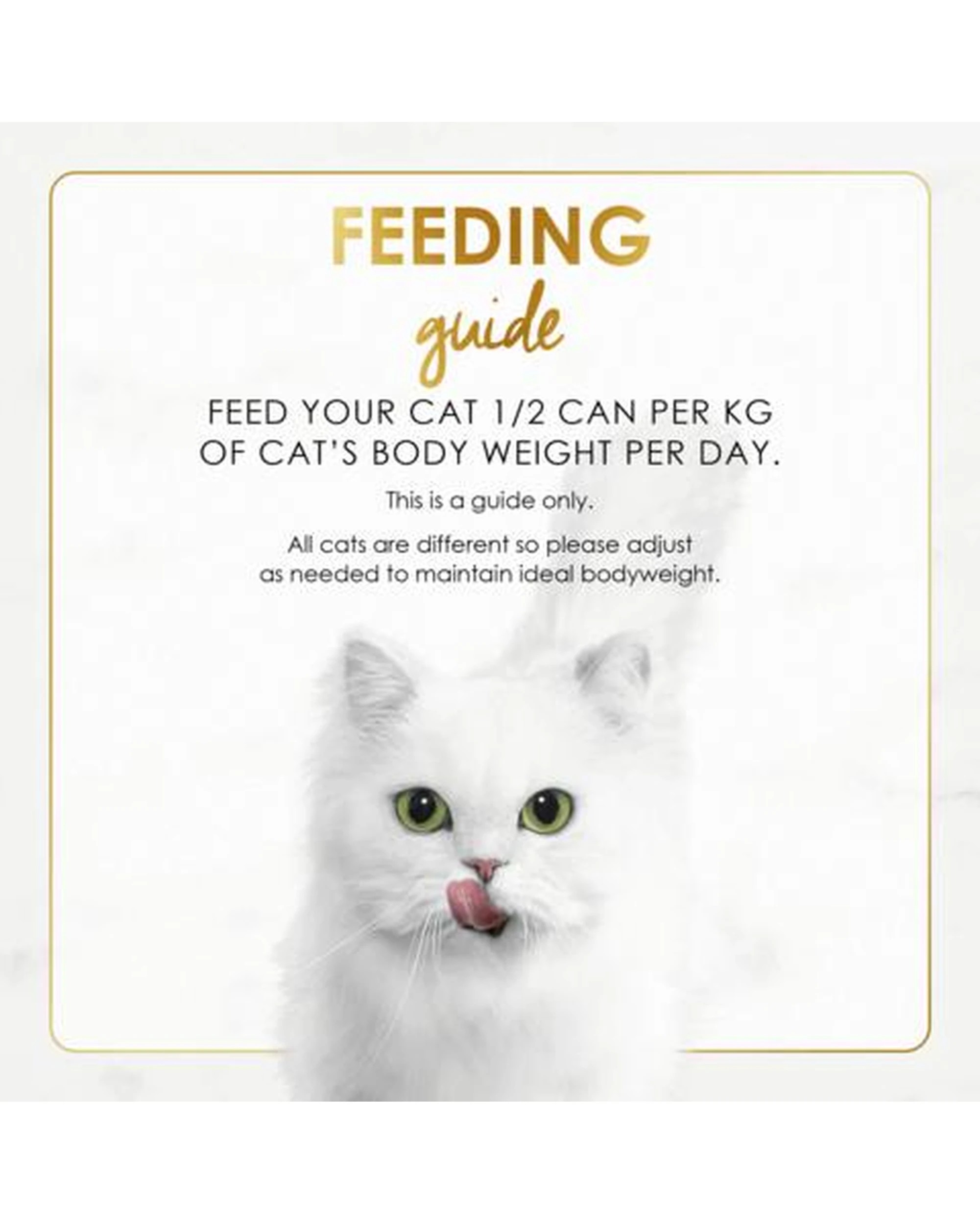 5 Fancy Feast Senior 7+ Classic Pate Wet Cat Food Chicken Feast 24 x 85g, 5 of 6