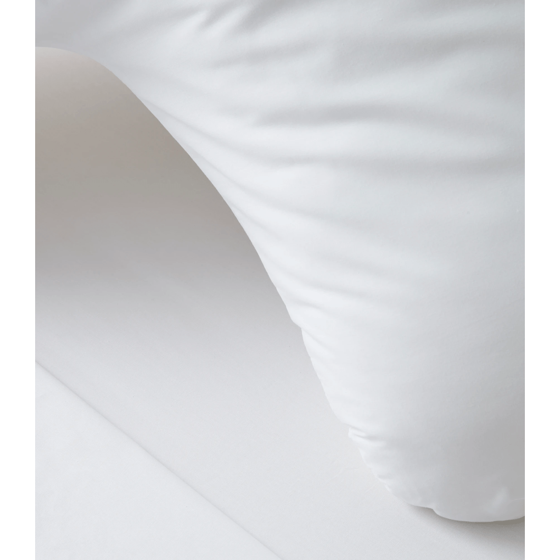 2 Target Australian Cotton 250 Thread Count Posture Pillowcase
 - Queen Bed
 - White, 2 of 2