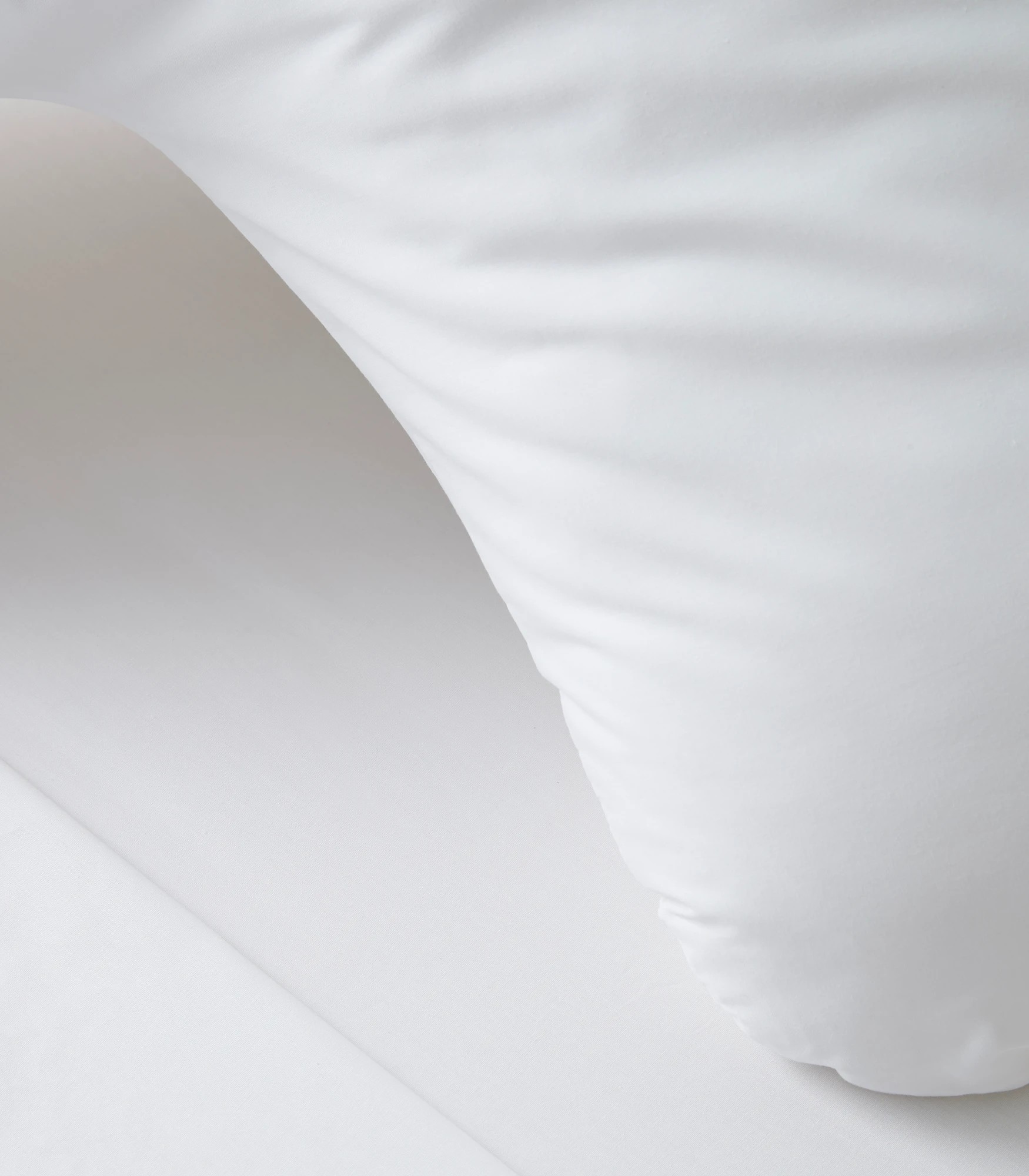 2 Target Australian Cotton 250 Thread Count Posture Pillowcase - One Size - White, 2 of 2