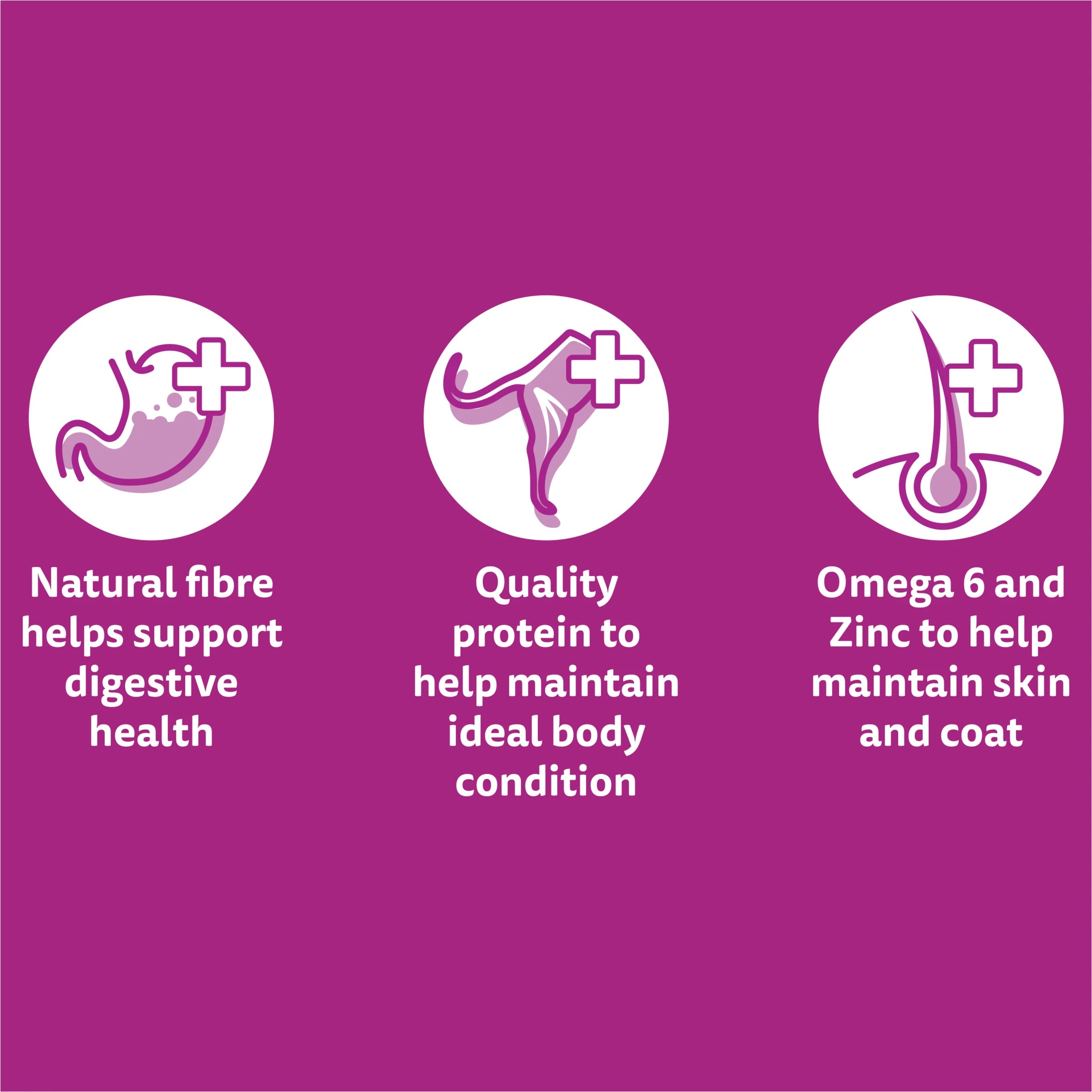 8 24 Pack Whiskas Mixed Favourites in Jelly, 8 of 10