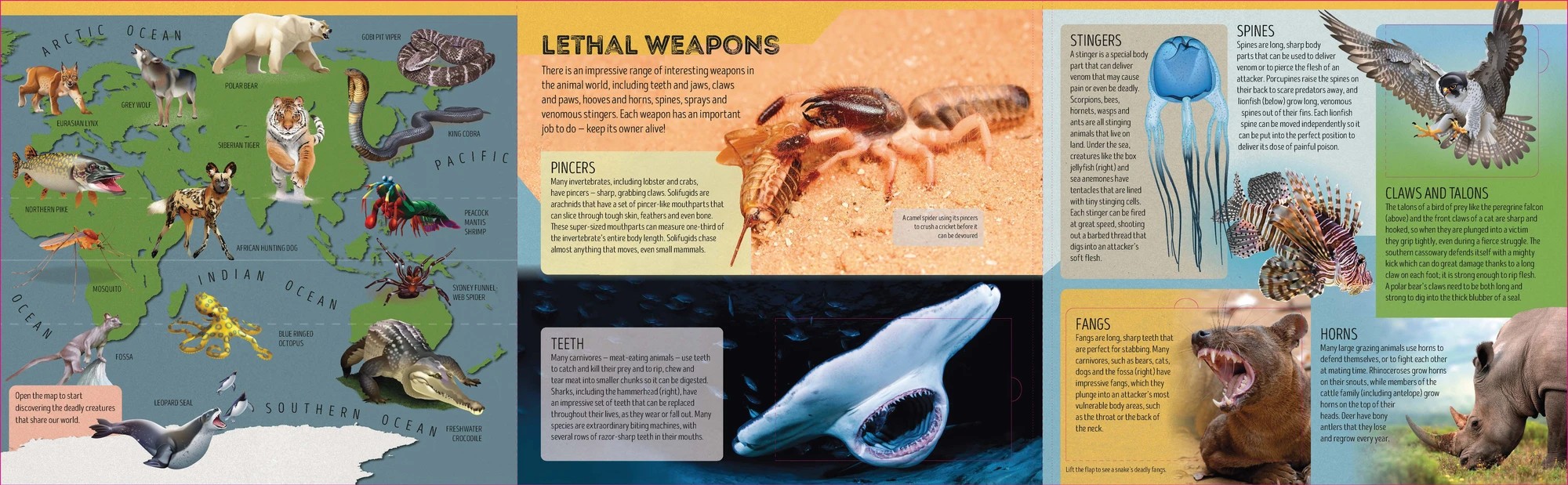 4 Lonely Planet Kids Deadly Animal Atlas by Camilla de la Bedoyere - Book, 4 of 5