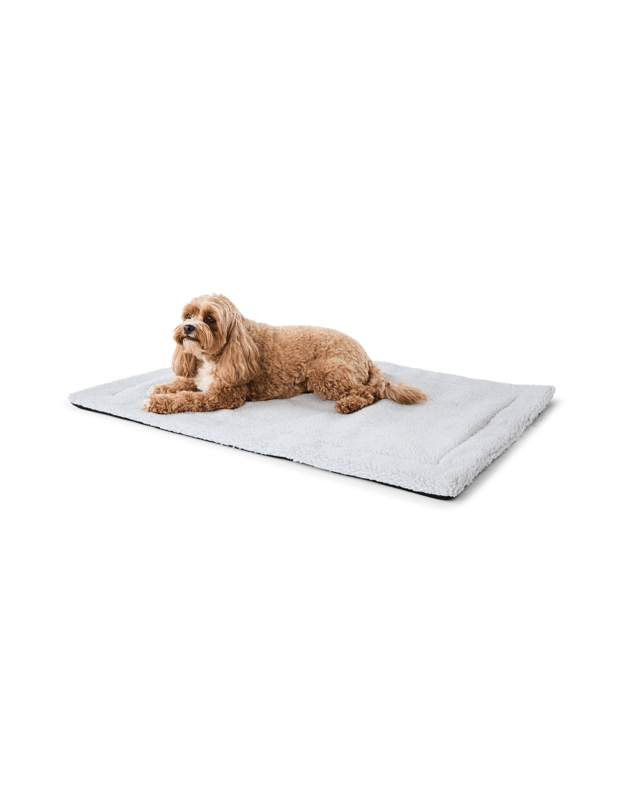 Pet Mat The