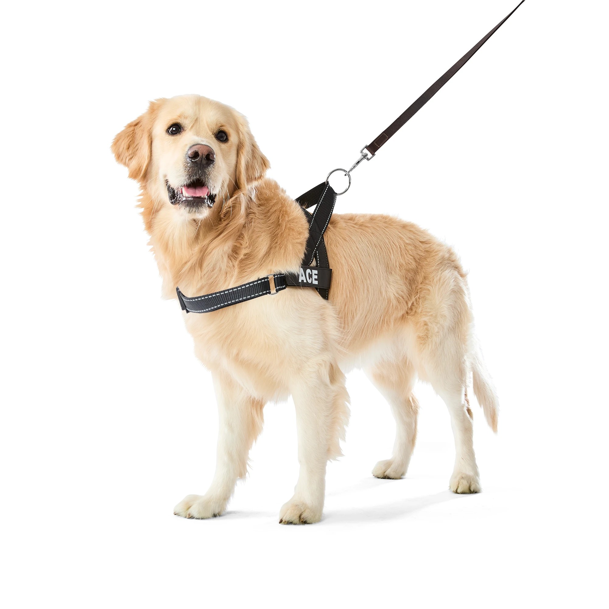 1 Pet Customisable Harness - Extra Large, Black, 1 of 10