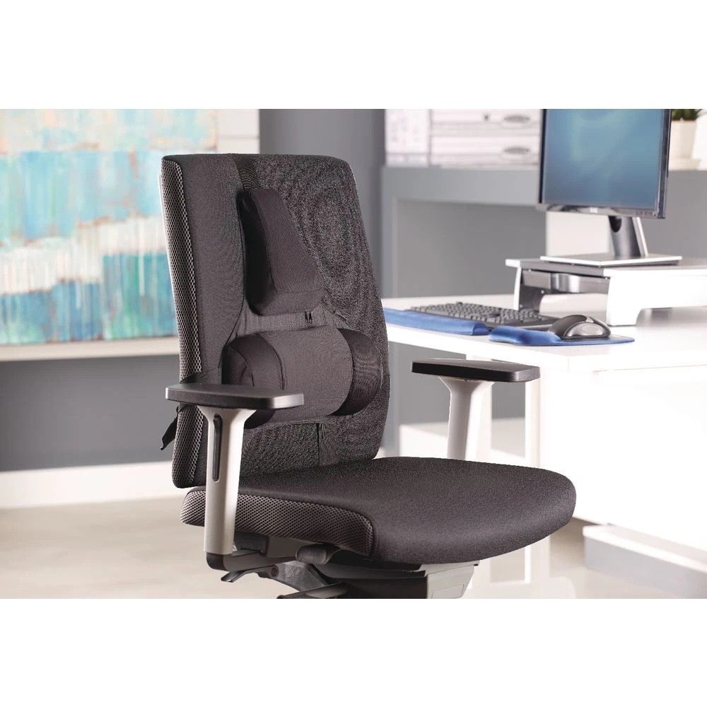 6 Fellowes Professional Back Support, 6 of 6