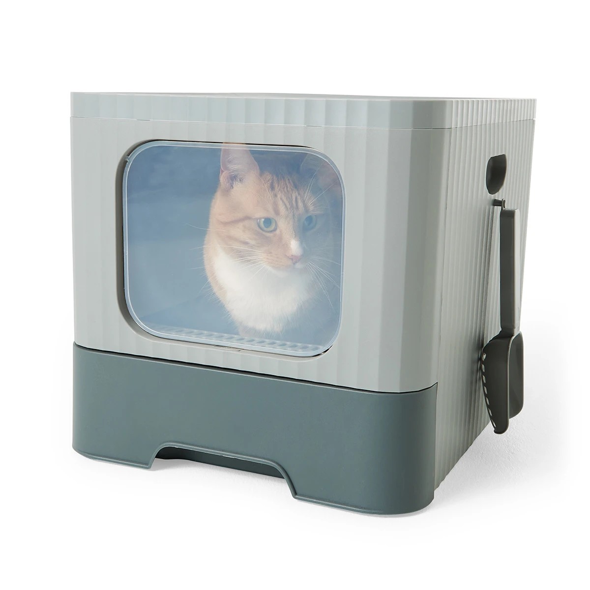 3 Cat Litter Box Dual Entry, 3 of 10