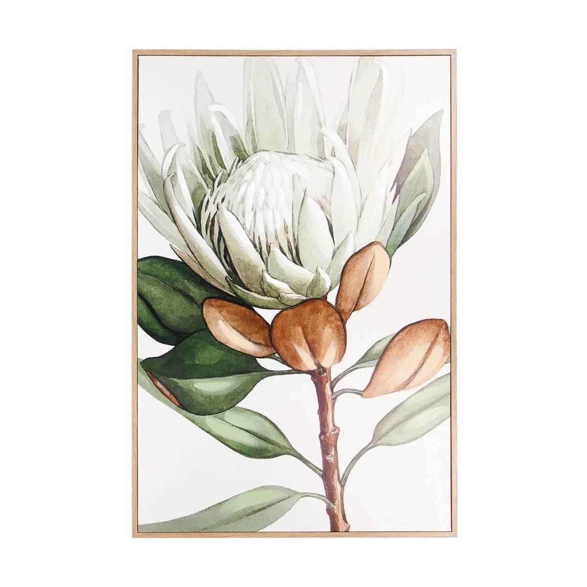 1 Protea Floral Framed Canvas, 1 of 4