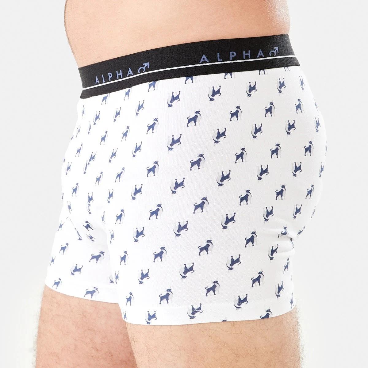 7 5 Pack Trunks BULL ICONS, 7 of 10